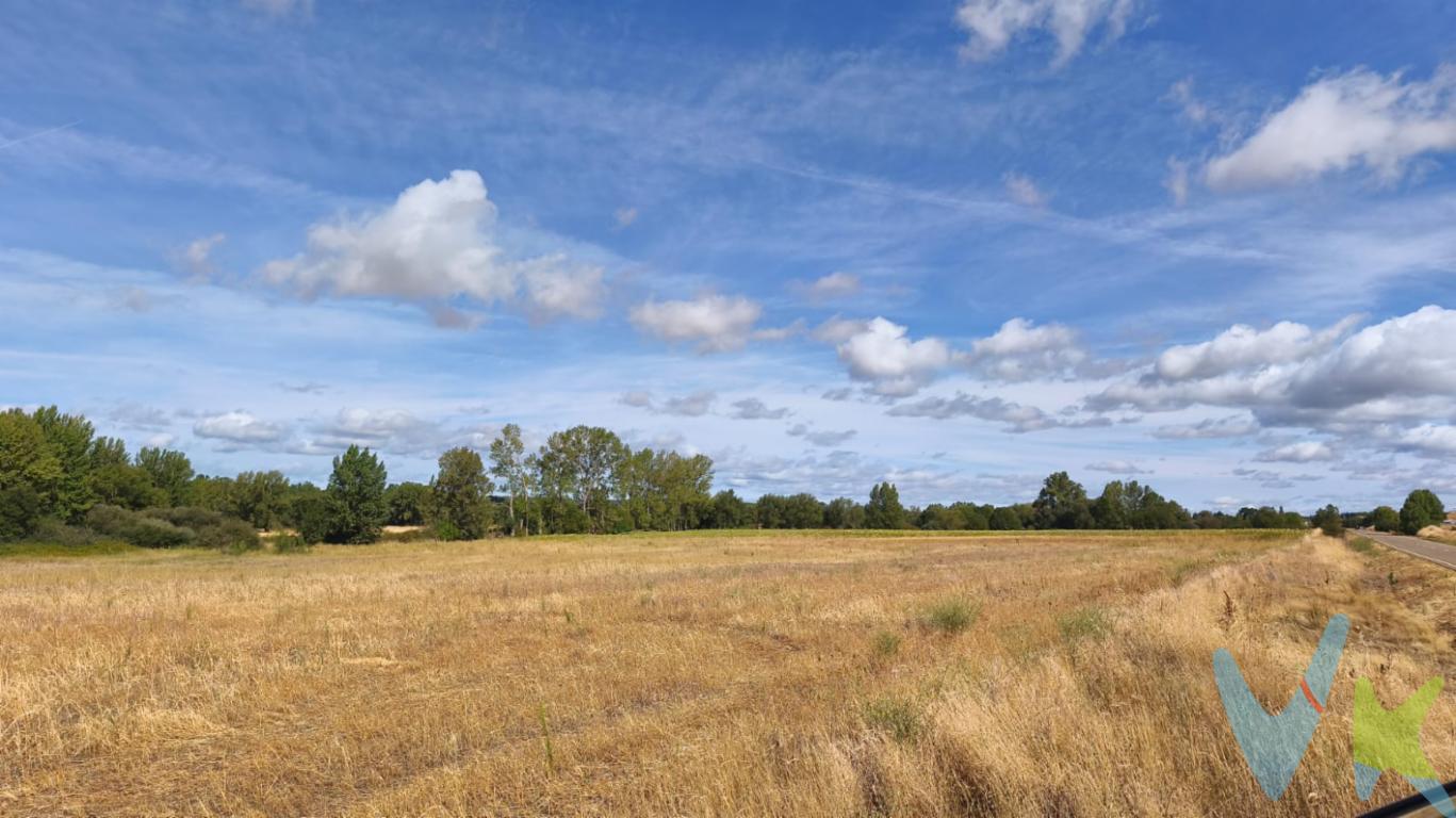 Se vende finca rústica de secano de aproximadamente 19.000 m², situada en el término municipal de Villazanzo de Valderaduey, León.Se trata de una finca destinada a aprovechamiento agrícola de secano, una característica especialmente importante para quienes buscan terreno para cultivo sin necesidad de sistema de riego.Por su superficie y ubicación, ofrece diferentes posibilidades de aprovechamiento agrícola, siendo adecuada para cultivos tradicionales de secano, como cereal trigo, cebada, centeno o triticale, así como para otros cultivos que puedan adaptarse a las condiciones de la zona y del terreno.También puede resultar interesante para ampliar una explotación agrícola existente, destinarla a cultivo propio o como inversión en terreno rústico.Ubicación: Villazanzo de Valderaduey, LeónTipo de terreno: Finca rústica de secanoSuperficie aproximada: 19.000 m² / 1,9 hectáreasUso: Agrícola y aprovechamiento de cultivos de secanoUna oportunidad para adquirir una finca rústica de buena superficie en un entorno rural, con posibilidades de aprovechamiento agrícola.Consúltanos para más información.Gastos e impuestos no incluidos en el precio. A título orientativo, en segundas transmisiones, el comprador abonará el Impuesto sobre Transmisiones Patrimoniales (ITP). Para consultar los porcentajes del ITP puede hacerlo a través de la web oficial de servicios tributarios. La base imponible será el mayor valor entre precio de compraventa, tasación o valor de referencia catastral. Gastos de notaría y registro aranceles variables según precio, número de copias y complejidad.El comprador escoge libremente notario. El vendedor asume, por ley, los gastos que le correspondan, salvo pacto en contrario. Si se precisa hipoteca: Tasación, condiciones y costes bancarios según entidad elegida por el comprador; así como los gastos de gestoría y cualesquiera otros inherentes a la formalización de la compraventa. De acuerdo con la ley, no se incluyen en el precio otros gastos o tributos que legalmente correspondan al comprador. Honorarios de intermediación inmobiliaria a cargo del vendedor y honorarios de mediación inmobiliaria a cargo del comprador no incluidos.El consumidor tiene derecho, conforme a la normativa vigente, a disponer de información y documentación adicional relativa al inmueble y condiciones de la compraventa. La agencia actúa exclusivamente como intermediaria en la operación. Cualquier compraventa y sus condiciones quedan sujetas en todo caso a la aceptación expresa del vendedor del inmueble y a la posterior formalización del correspondiente contrato. El presente anuncio tiene carácter meramente informativo; la información suministrada se corresponde con la disponible a la fecha de publicación, pudiendo variar en función de las circunstancias o actualizaciones legales, contractuales y fiscales.