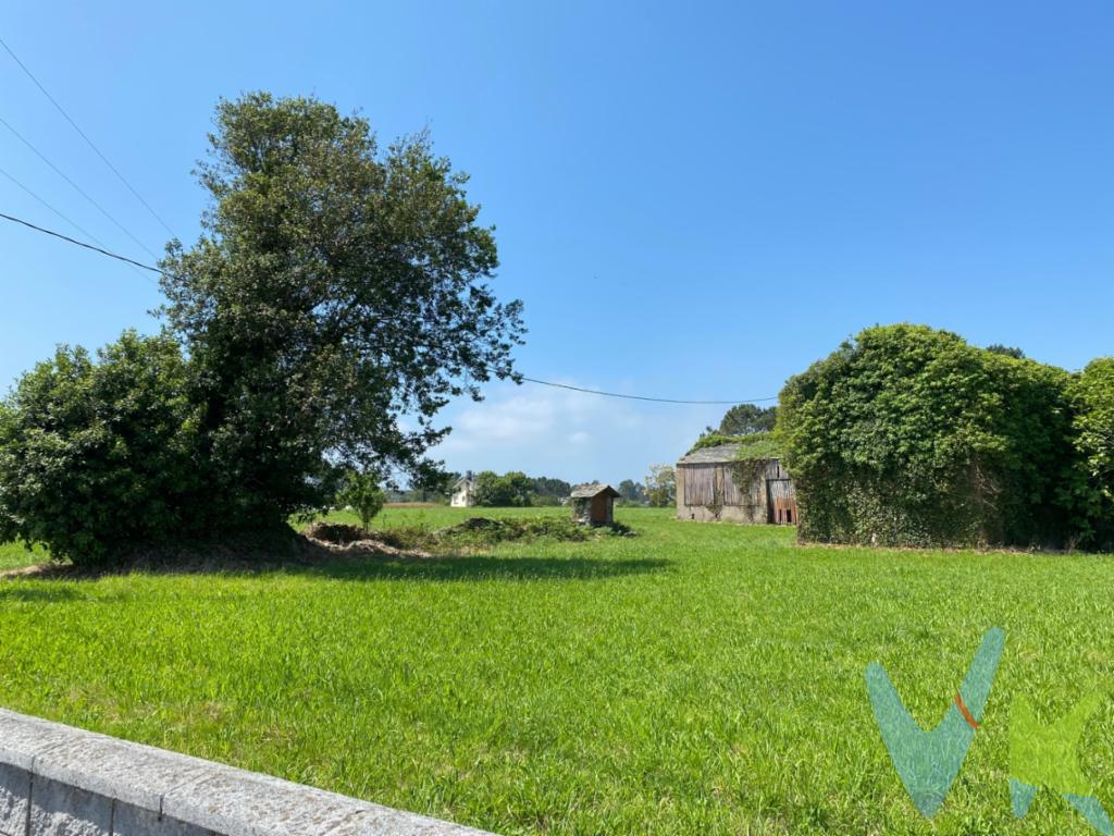 Se trata de un inmueble sito en Las Veigas, lugar de Arboces, Lóngara, concejo de El Franco, Asturias. Que mide, según el título, 20.230,00 m2. En el que se puede edificar unas 160 viviendas modulo 100, con garaje y trastero. Es una oportunidad para constructores y promotores que quieran invertir en esta zona. Según el Plan General de Ordenación Urbana de la zona, EL INMUEBLE DESCRITO anteriormente se halla dividido en DOS SECTORES, que son: Suelo Urbanizable 9- La Caridad y Suelo Urbanizable 10  La Caridad, según Plano que se adjunta. Y de acuerdo a la ficha urbana: SUELO URBANIZABLE 9 El tipo es no prioritario. La superficie bruta del ámbito es 14.816 m2. Figura del Planeamiento: Plan Parcial. Sistema de Actuación: Compensación. Iniciativa: Privada. Subdivisión de la Unidad: Si. Uso característico: Residencial. Tipología edificatoria: Bloque abierto (B.A.). Aprovechamiento Urbanístico 0,6 m2 m2. El tipo de construcción sería, edificio en régimen abierto, en el que cada pastilla de construcción, como máximo, podría tener 35 m líneales de frente por 15 m lineales de fondo, y constaría de: Planta bajo rasante, sótano, destinada a garaje de automóviles y cuartos trasteros; y dos plantas altas más una en bajo cubierta, destinadas a vivienda. En el sector de 14.816 m2, con un aprovechamiento de 0,6 m2, se fabricarían 8.889,6 metros cuadrados construídos, que dividido en módulos de 100 m2 construídos por vivienda (85 m2 útiles de vivienda, aproximadamente), sería el de 88,89 viviendas. La cesión de viales será como mínimo de 3.720 m2. Las cesiones obligatorias son las que establece el TROTU (Texto Refundido Ordenación Territorio y Urbanismo) y EL ROTU (Reglamento de Ordenación del Territorio y Urbanismo), según los Planos de Ordenación. Y como sistema general de espacios libres y zonas verdes, se incorporará una reserva de suelo de 15 m2 por vivienda o, en su defecto, por cada 100 m2 construídos. Este suelo urbanizable que mide 14.816 m2, lo forman las parcelas catastrales números 56, 57 y 58. La parcela 56, consta de una casa y su terreno alrededor de la misma. La casa tiene una superficie de 186 m2, y su terreno de alrededor 1.177 m2, lo que hacen una totalidad de 1.363 m2, que supone una cuota de participación en el sector del 9,20 % (nueve enteros veinte centésimas por ciento), que podrían suponer (sobre 8.889,6 m2) la construcción de 817,85 m2, que serían 8,17 viviendas (módulos de 100 m2 construidos cada una). La parcela 57, también consta de una casa y almacenes y su terreno alrededor de los mismos. La casa y almacenes tiene una superficie de 624 m2, y su terreno de alrededor de 2.517 m2, lo que hacen una totalidad de 3.141 m2, que supone una cuota de participación en el sector del 21,20 % (veintiún enteros veinte centésimas por ciento), que podrían suponer (sobre los 8.889,6 m2) la construcción de 1.884,59 m2, que serían 18,85 viviendas (módulo 100 m2 construidos cada una). La parcela 58, está integrada sólo por un terreno que tiene una superficie de 10.312 m2, y le corresponde una cuota de participación en el sector del 69,60 % (sesenta y nueve enteros sesenta centésimas por ciento), que podrían suponer (sobre los 8.889,6m2), la construcción de 6.187,16 m2, que serían unas 61,87 viviendas (módulo de 100 m2 construídos cada una). Para desarrollar urbanísticamente este Sector 9, habría que intentar ponerse de acuerdo los propietarios que forman el Sector, si bien, la parcela 58, al tener mayoría en el mismo, podría desarrollar unilateralmente el Sector, de acuerdo a la normativa legal al respecto. SUELO URBANIZABLE 10 El tipo es No prioritario. La superficie bruta del ámbito es de 12.397 m2. Figura del Planeamiento: Plan Parcial. Sistema de Actuación: Compensación. Iniciativa: Privada. Subdivisión de la Unidad: Si. Tipología edificatoria: Bloque Abierto (B.A.). Aprovechamiento Urbanístico 0,6 m2. El tipo de construcción sería, edificio en régimen abierto, en el que cada pastilla de construcción, como máximo, podría tener 35 m lineales de frente por 15 m lineales de fondo, y constaría de: Planta bajo rasante, sótano, destinada a garaje de automóviles y cuartos trasteros; y dos plantas altas más una en bajo cubierta, destinadas a vivienda. En el sector de 12.397 m2, con un aprovechamiento de 0,6 m2, se fabricarían 7.438,20 metros cuadrados construídos, que dividido en módulos de 100 m2 construídos por vivienda (85 m2 útiles de vivienda, aproximadamente), sería el de 74,38 viviendas. La cesión de viales, será como mínimo de 2.515 m2. La cesión para DC (Dotaciones Comunitarias) será como mínimo de 2.536 m2. Las cesiones obligatorias son las que establece el TROTU (Texto Refundido Ordenación Territorio y Urbanismo) y EL ROTU (Reglamento de Ordenación del Territorio y Urbanismo), según los Planos de Ordenación. Y como sistema general de espacios libres y zonas verdes, se incorporará una reserva de suelo de 15 m2 por vivienda o, en su defecto, por cada 100 m2 construídos. Este suelo urbanizable (Sector 10), tiene un único propietario, que es el de la parcela catastral número cincuenta y ocho (58), y podría desarrollar por sí sólo el Plan Parcial. Se halla ubicado en Arboces, Lóngara, parroquia de La Caridad, concejo de El Franco, Asturias. Situado a unos 500 m del centro de la villa de La Caridad, al lado de dotaciones Comunitarias, colegios y equipamientos deportivos. Con toda clase de servicios a su alreedor, zonas comerciales, bancos, supermercados, etc. La zona se halla consolidada urbanísticamente, con toda clase de servicios públicos, agua, luz, saneamiento, caminos o calles asfaltadas y alumbrado público. Arboces pertenece a la parroquia de La Caridad, concejo de El Franco, Asturias. Tiene una población de 115 personas. La Caridad, tiene una población de 1.850 habitantes. Como actividad económica predomina la Comercial, Hostelera, Hotelera, y La Madera con un aserradero importante. La actividad de la construcción cambió y ha transformando la villa, un 60 % está destinado a la segunda vivienda, y un 30 % a la actividad turística. Es zona de playas, con un puerto pesquero y deportivo a 2 Km (Viavelez). Durante el período vacacional y preferentemente estival tiene un atractivo importante, con un aumento considerable de su población. Tiene turismo rural, rutas y senderismo, así como Albergue del Camino de Santiago. Se halla muy bien comunicada con las ciudades más importantes de Asturias a través de la autovía A-8, Oviedo (130 Km), Gijón ( 110 Km) y Avilés ( 86 Km), Navia (9 km).