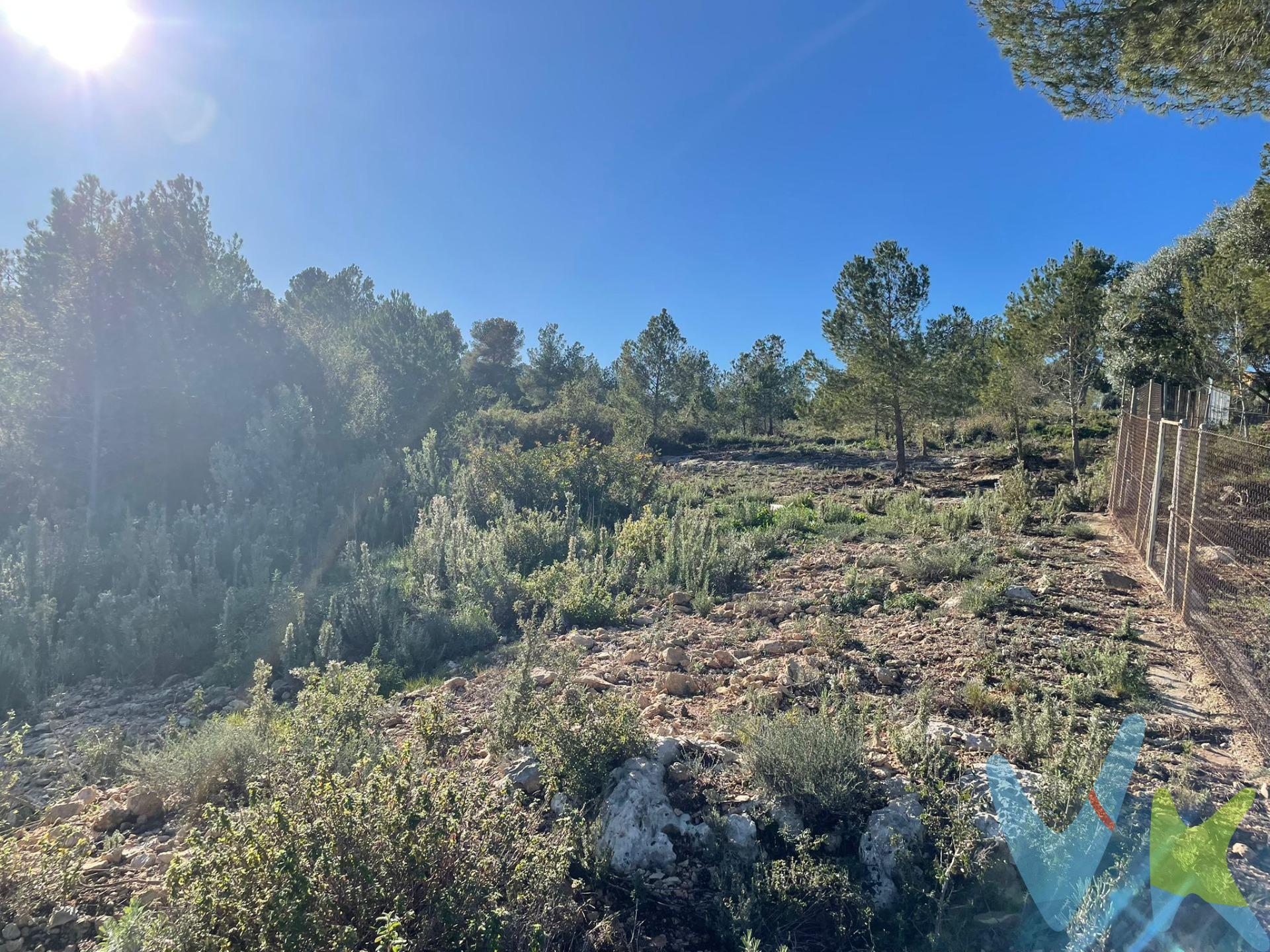 Oportunidad única de adquirir un amplio terreno de 9.098 m² en la tranquila y pintoresca localidad de Godelleta, en Valencia. Con una distribución versátil entre uso agrario y urbano y dividido en cinco referencias catastrales. Este terreno ofrece infinitas posibilidades para inversores, agricultores lo que lo hace ideal para múltiples proyectos. Distribución del Terreno:. 4.788 m² destinados a uso agrario, ideales para cultivos, huertos, viñedos o cualquier actividad agrícola sostenible. 4.310 m² de uso urbano, no está urbanizado. Características Destacadas:. Cinco referencias catastrales, que facilitan la gestión de proyectos independientes o combinados según necesidades. Ubicación estratégica: a solo 25 minutos de Valencia capital, con acceso rápido a carreteras principales y servicios urbanos. Entorno natural y tranquilo: un lugar ideal para disfrutar de la paz del campo sin renunciar a la cercanía de la ciudad. Versatilidad de usos: perfecto tanto para actividades agrícolas como para desarrollos mixtos. Ventajas Adicionales:. Amplias posibilidades para personalizar y adaptar el terreno a tus necesidades. Zona con clima mediterráneo y gran calidad de vida, ideal para proyectos sostenibles. Contáctanos hoy mismo para más información, conocer detalles de las referencias catastrales o concertar una visita al terreno. La descripción del presente inmueble e imágenes tienen mero carácter informativo y en ningún caso carácter contractual, pudiendo ser modificados por la inmobiliaria comercializadora sin que ello implique responsabilidad alguna frente a terceros. En el precio de venta a público, esta propiedad NO incluye los gastos de adquisición (Notario, registro, gestión, honorarios, etc…). 