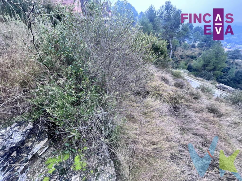 Fincas Eva presenta esta parcela situada en el encantador municipio de El Pont de Vilomara i Rocafort, una zona tranquila y rodeada de naturaleza, perfecta para quienes buscan calidad de vida sin renunciar a la cercanía de núcleos urbanos importantes.La parcela se encuentran en un entorno residencial consolidado, con buen acceso y un ambiente familiar y sosegado, ideal tanto para construir una vivienda unifamiliar como para realizar una inversión a medio o largo plazo.Ambas parcela es urbanizable, lo que permite edificar conforme a la normativa vigente, contando con la ventaja de ubicarse en una zona en crecimiento y con una clara proyección de revalorización.El Pont de Vilomara destaca por su entorno natural privilegiado, rodeado de montañas, rutas de senderismo y paisajes abiertos, ofreciendo un estilo de vida tranquilo y saludable. Al mismo tiempo, dispone de los servicios esenciales del día a día y buenas conexiones con localidades cercanas, lo que lo convierte en una opción muy atractiva tanto como primera residencia como segunda vivienda.Esta parcela representa una excelente oportunidad para quienes desean construir una vivienda a medida, adaptada a sus gustos y necesidades, en un entorno sereno y bien comunicado. También es ideal para inversores que busquen suelo con potencial en una zona cada vez más demandada.No deje pasar esta oportunidad. Para más información, detalles urbanísticos o concertar una visita, no dude en ponerse en contacto. Estaremos encantados de asesorarle y ayudarle a dar el primer paso hacia su nuevo proyecto.