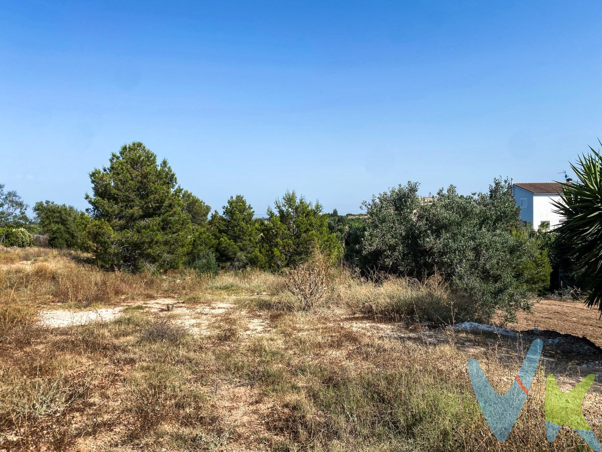 Se vende excelente parcela urbana de 1.067 m² en Tros Alt, con fachada a calle principal de 25m. Muy buena orientación y excelentes vistas. Zona tranquila y bien comunicada, ideal para vivienda unifamiliar o inversión. La urbanización Tros Alt es una zona muy demandada por quienes buscan calidad de vida, amplitud y tranquilidad, sin renunciar a todos los servicios. Torrent goza de una excelente conexión por carretera (A-7, CV-36, V-30) y transporte público gracias a la red de MetroValencia (Líneas 1, 2 y 7) y autobuses metropolitanos. Estas facilidades permiten un acceso rápido a Valencia, aeropuerto y principales vías de la provincia. La Urbanización Tros Alt, situada cerca de Monte Real, se beneficia de esta localización estratégica, con acceso a la CV-405 y nuevas mejoras proyectadas para optimizar la conexión con Torrent y localidades vecinas. Tros Alt es una urbanización consolidada con amplias parcelas y chalets independientes rodeados de naturaleza. Sus viviendas destacan por contar con jardines, piscinas privadas y zonas de ocio, ideales para familias que valoran la privacidad y el aire libre. El ambiente es tranquilo y familiar. Torrent dispone de todos los servicios necesarios: colegios, institutos, centros de salud, polideportivos, parques como Parc Central y una variada oferta comercial y cultural. Vivir en Tros Alt (Torrent) significa disfrutar de la tranquilidad de una urbanización rodeada de naturaleza, con la comodidad de tener la ciudad de Torrent y Valencia a un paso. Es una opción perfecta para familias, amantes del aire libre y quienes buscan una excelente relación entre calidad de vida, entorno y buenas comunicaciones. Por mandato expreso del propietario, comercializamos este inmueble en MULTIEXCLUSIVA, lo que le garantiza un servicio de calidad, un trato fácil, sencillo y sin interferencias de terceros. Por este motivo, se ruega no molestar a los propietarios, a los ocupantes de la propiedad y a los vecinos. Muchas gracias por su comprensión. Si Usted es agencia inmobiliaria y tiene un cliente para este inmueble, llámenos, estaremos encantados de colaborar en esta y otras operaciones. La oferta está sujeta a cambios de precio o retirada del mercado sin previo aviso. Este anuncio en su conjunto, incluyendo textos, fotos, imágenes o cualquier otro contenido de este, no es vinculante y puede contener errores. Se muestra a título informativo y no contractual. El precio NO INCLUYE los gastos de corretaje inmobiliario, impuestos (IVA, ITP, AJD), plusvalía, notaría y registro. 