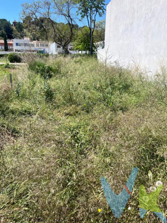 ¡Descubra una oportunidad única en el encantador municipio de Puig! Presentamos una magnífica finca edificable, ideal para aquellos que buscan una inversión sólida o para quienes desean construir el hogar de sus sueños en un entorno tranquilo y accesible. Situada en una ubicación privilegiada, la finca se extiende generosamente y ofrece múltiples posibilidades gracias a su condición de edificable. Estos terrenos, ricos en potencial, son perfectos para desarrollar un proyecto residencial personalizado o incluso un complejo de viviendas. Las suaves brisas mediterráneas y el ambiente sereno de Puig proporcionan el escenario perfecto para quienes valoran la calidad de vida en un entorno natural y apacible.Las características edificables del terreno permiten desarrollar estructuras respetuosas con el entorno, aprovechando al máximo la hermosa luz natural y las vistas al paisaje circundante.Este terreno debe ser visitado para apreciar completamente su potencial y las oportunidades que presenta para futuros residentes o inversores.No deje pasar esta oportunidad excepcional en Puig, donde la perfecta convergencia entre ubicación, naturaleza, y accesibilidad hace de esta finca una opción incomparable. Contacte hoy mismo para concertar una visita y explorar todo lo que esta impresionante propiedad tiene para ofrecer. Descubra el lugar donde podrá realizar sus sueños y vivir la vida que siempre ha deseado. Esta es su oportunidad de hacer realidad un proyecto personal o una inversión segura en un entorno envidiable. Visite, visualice y hágalo suyo.Se muestra a título informativo y no contractual. El precio no incluye lo siguiente: Honorarios de la agencia inmobiliaria, impuestos (IVA, ITP) y otros gastos de la Compraventa (notaria, gestoría y registro).