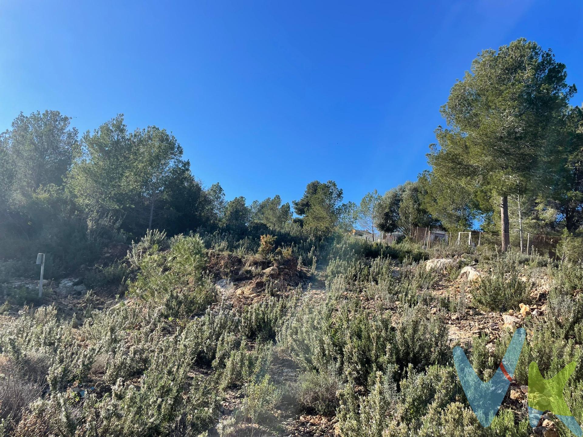 Venta de Terreno de 9.098 m² en Godelleta, Valencia. Oportunidad única de adquirir un amplio terreno de 9.098 m² en la tranquila y pintoresca localidad de Godelleta, en Valencia. Con una distribución versátil entre uso agrario y urbano y dividido en cinco referencias catastrales. Este terreno ofrece infinitas posibilidades para inversores, agricultores lo que lo hace ideal para múltiples proyectos. Distribución del Terreno:.  4.788 m² destinados a uso agrario, ideales para cultivos, huertos, viñedos o cualquier actividad agrícola sostenible.  4.310 m² de uso urbano, no está urbanizado. Pendiente de desarrollar, por lo que no es apto para edificar hasta que se efectúen las obras de urbanización. Características Destacadas:.  Cinco referencias catastrales, que facilitan la gestión de proyectos independientes o combinados según necesidades.  Ubicación estratégica: a solo 25 minutos de Valencia capital, con acceso rápido a carreteras principales y servicios urbanos.  Entorno natural y tranquilo: un lugar ideal para disfrutar de la paz del campo sin renunciar a la cercanía de la ciudad.  Versatilidad de usos: perfecto tanto para actividades agrícolas como para desarrollos mixtos.  4.310 m² de suelo urbano pendiente de desarrollar, por lo que no es apto para edificar hasta que se efectúen las obras de urbanización. Ideal para inversiones a medio/largo plazo. Ventajas Adicionales:.  Amplias posibilidades para personalizar y adaptar el terreno a tus necesidades.  Zona con clima mediterráneo y gran calidad de vida, ideal para proyectos sostenibles. Contáctanos hoy mismo para más información, conocer detalles de las referencias catastrales o concertar una visita al terreno. VENTA:. PVP 24.900€.  Gastos e impuestos no incluidos en el precio. La compra conlleva impuestos y gastos de formalización para el comprador. A título orientativo se informa que en segundas transmisiones el  ITP  con carácter general en  Valencia  es del  10%, pudiendo existir otros tipos impositivos atendiendo a  las circunstancias  personales del comprador u otras circunstancias previstas legalmente. Base imponible del impuesto el mayor valor entre el precio de compraventa, la tasación o el valor de referencia catastral. En cuanto a los gastos de  notaría y registro, en su caso,  suelen oscilar aprox; entre 1,5% y 2,5% (aranceles variables según precio, n.º de copias y complejidad). El comprador elige notario. Si el comprador precisase de  hipoteca: tasación, condiciones y costes bancarios serán según entidad elegida por el comprador, así como los gastos de gestoría, y cualesquiera otros gastos inherentes a la formalización de la compraventa que legalmente correspondan a la parte compradora, salvo pacto expreso en contrario con el vendedor. El consumidor tiene,  conforme a la normativa vigente, a su disposición información y documentación adicional relativa al inmueble y condiciones de la compraventa, que podrá ser consultada en C/Joaquín Costa 4, bajo 46005 Valencia o urbe2@remax.es. Honorarios de mediación inmobiliaria a cargo del  COMPRADOR: (3000€ del precio final de venta más IVA (21%), salvo otro pacto.); y  de VENDEDOR (según acuerdo con el mismo). . Se informa al consumidor que la agencia actúa como intermediaria inmobiliaria en la operación, estando cualquier eventual compraventa y sus condiciones sujeta a la aceptación expresa del propietario-vendedor y a la posterior formalización del correspondiente contrato.