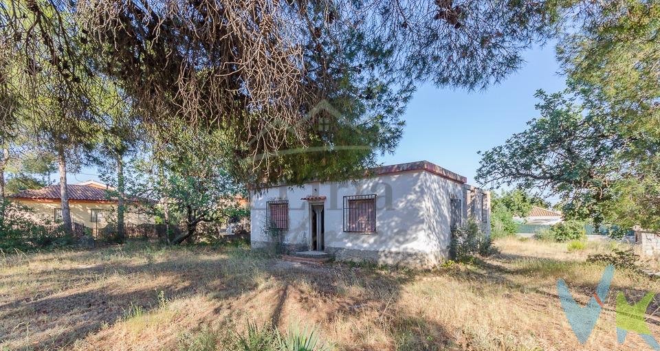 Ref. 04375- EXCLUSIVA- Chalet con múltiples posibilidades en excelente ubicación, junto al Parque de San Vicente. Si buscas una propiedad con posibilidades en una de las zonas más valoradas de Llíria, esta puede ser tu oportunidad. Situada en una tranquila urbanización próxima al Parque de San Vicente, con vecinos durante todo el año y a tan solo 8km del casco urbano, esta vivienda ofrece la posibilidad de crear un hogar a medida tanto como residencia habitual como para disfrutar de fines de semana y vacaciones. Además, cuenta con acceso completamente pavimentado hasta la parcela. La vivienda dispone de 43 m² construidos distribuidos en salón-comedor y dos dormitorios. En el exterior encontramos un baño independiente, trastero y una amplia terraza descubierta de aproximadamente 60 m². Todo ello sobre una parcela de 1.397 m² completamente vallada, con árboles consolidados que aportan un entorno agradable y privacidad. La vivienda necesita reforma, siendo una excelente opción para adaptar los espacios a las necesidades actuales. Dispone de agua potable, posibilidad de conexión a la red eléctrica y saneamiento mediante pozo ciego. Ubicada cerca de colegios, supermercados, hospital, parques y transporte público. Una propiedad con mucho potencial en una ubicación difícil de igualar. 📞 No dejes pasar esta oportunidad y ven a visitarlo. ¡Te sorprenderá todo lo que puede ofrecerte!. Información importante para el consumidor. El precio del inmueble ofertado no incluye:. Honorarios de la agencia inmobiliaria. Gastos notariales y registrales, que están sujetos a aranceles oficiales y varían en función del precio de escrituración. Impuesto sobre Transmisiones Patrimoniales (ITP), cuyo importe depende del precio del inmueble y de las circunstancias personales del comprador conforme a la normativa vigente en la Comunitat Valenciana. Gastos derivados de la gestión del cambio de titularidad de suministros, en caso de ser solicitados. Comercialización en exclusiva. Por expreso deseo de la propiedad, este inmueble se comercializa en régimen de exclusiva por Lliria Home Inmobiliaria. Rogamos no contactar directamente con la propiedad. Para concertar visitas o ampliar información, contacte con nosotros. Servicios de intermediación inmobiliaria. Los servicios de intermediación incluidos en los honorarios profesionales comprenden, de manera enunciativa y no limitativa, los siguientes:. Visita al inmueble o inmuebles seleccionados por el cliente. Análisis documental del inmueble a adquirir, incluyendo la revisión de la situación registral y catastral. Intermediación y negociación con la parte vendedora para el cierre de la operación. Redacción de los contratos privados necesarios. Supervisión y seguimiento de la operación hasta su firma y acompañamiento a la notaría. Presentación del cliente a entidades financieras para la obtención de financiación, en caso de que lo solicite. Acompañamiento al tasador designado por la entidad financiera seleccionada por el cliente. Realización de visitas adicionales cuando sea necesario para comprobaciones o aclaraciones. Gestión del cambio de titularidad de suministros, en caso de ser solicitada. #exclusiva #venta #compromiso #inmobiliariallíria #lliriahomeinmobiliaria #firmanotaria #clientescontentoslliriahome. . . . 