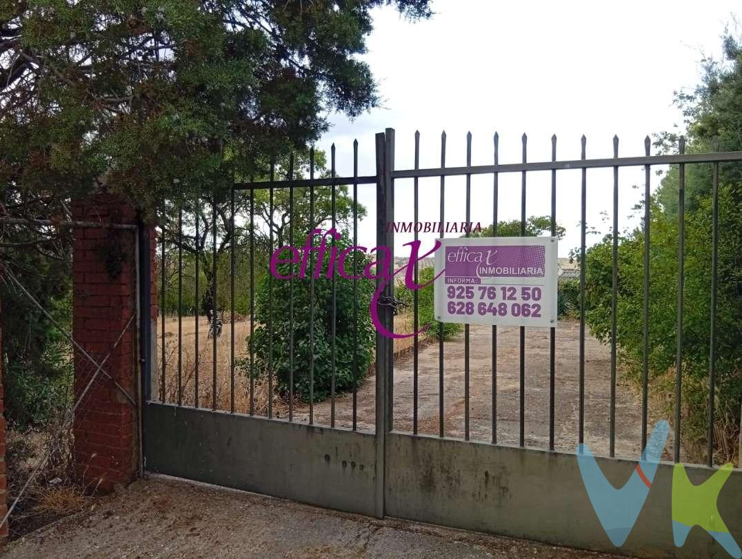 Se vende preciosa finca con vivienda en una planta en la Urbanización de las Cañas en Albarreal de Tajo. 
La vivienda dispone de porche de entrada, salón comedor con chimenea, dos habitaciones, cocina y baño. Se trata de una casita pequeña perfecta para pasar el fin de semana. Actualmente necesita ser reformada.
También nos encontramos con un almacén para guardar herramientas, maquinaria y enseres para el mantenimiento de la finca, y además, también hay una caseta para perros.
La urbanización en la que se encuentra tiene las calles asfaltadas, alumbrado, agua potable, electricidad, alcantarillado y comunidad de vecinos.
La finca es perfecta para los amantes de la naturaleza, al tener plantados olivos, almendros, olmo común, granados, árbol de la pasión, ciprés, higuera, madroño, rosales, acacia, adelfas, etc.
La finca al estar en la parte alta de la urbanización dispone de unas fantásticas vistas donde se puede contemplar la ciudad de Toledo en el horizonte.
La compra de este inmueble conlleva un servicio de formalización y gestión de la compraventa para el comprador, cuyo coste no está incluido en el precio publicado.
Se le informará de todos los gastos asociados a la compraventa antes de la reserva para que usted compre con la máxima seguridad, tranquilidad y transparencia.
 