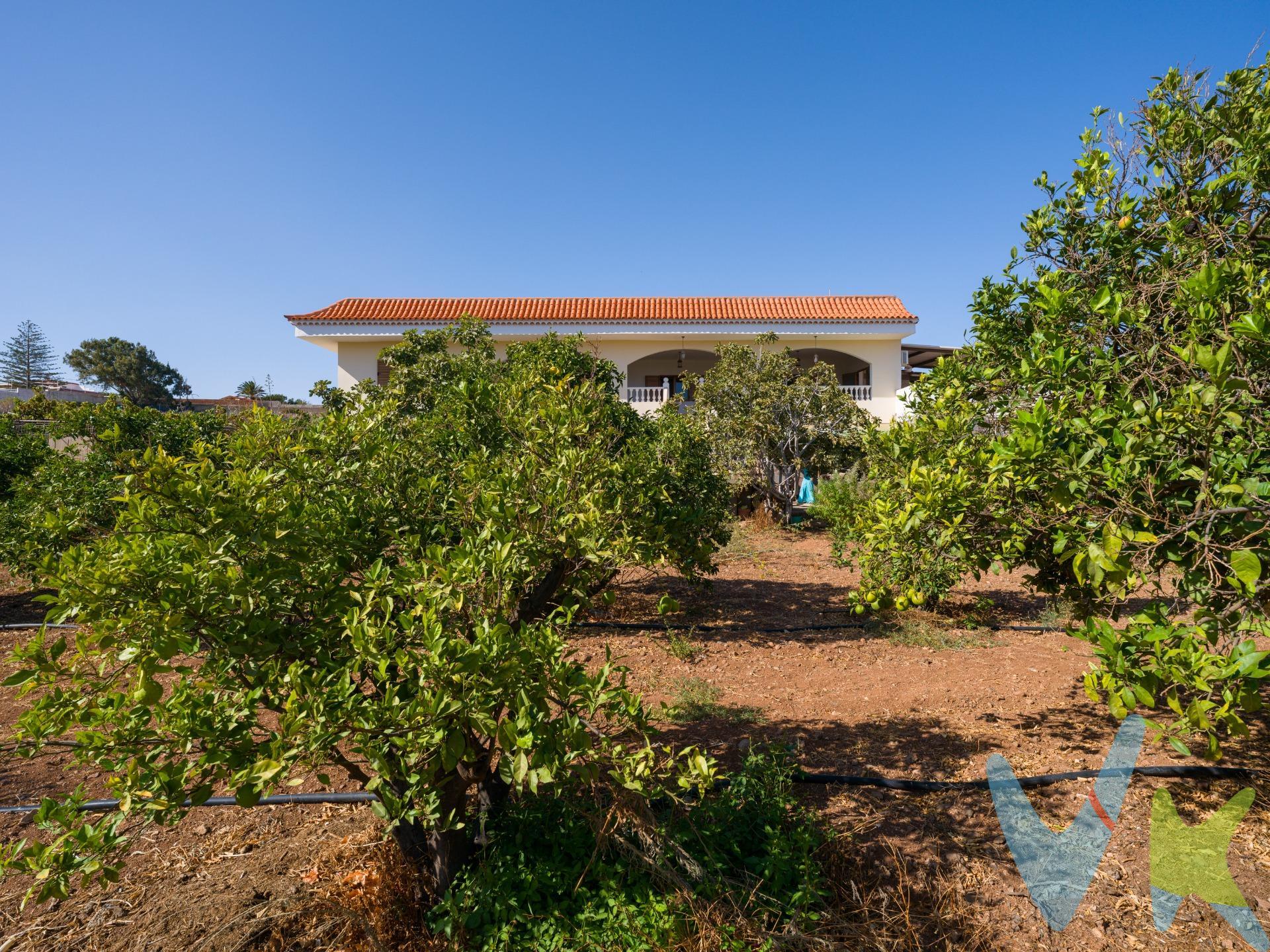 En Las Mejías, una zona donde lo urbano se entrelaza con el encanto del campo, se encuentra esta finca rústica única. Rodeada de naturaleza y al mismo tiempo a tan solo cinco minutos de la autopista y a 10min del aeropuerto, ofrece lo mejor de dos mundos: la serenidad del campo y la comodidad de estar muy bien conectada. Con una superficie de 2.005 m², la finca es un auténtico vergel. Sus árboles frutales —limoneros, naranjeros, higueras, aguacateros, mangos, plataneras, vides y mucho más— se extienden en un paisaje verde que transmite abundancia. Todo el terreno cuenta con riego por goteo, asegurando un cultivo sostenible y lleno de vida. Como se suele decir: en esta finca no se pasa hambre. La casa principal se alza en dos plantas más azotea, con unos generosos 250 m² en la primera planta como vivienda principal. Desde el amplio porche, la vista se abre hacia el mar y hacia el manto verde de los árboles frutales, un escenario perfecto para tardes inolvidables en familia o en buena compañía. La frase “para relajarse” se queda corta aquí: este es un espacio que invita a detener el tiempo. Al entrar por la puerta principal, un hall imponente da la bienvenida. A un lado, el salón sorprende por su amplitud, con el encanto de las casas antiguas donde todo era más grande y luminoso. Al otro lado, una habitación espaciosa ofrece múltiples posibilidades: despacho, dormitorio adicional o sala de juegos. En la parte más tranquila de la casa se encuentran los dormitorios, todos con carpintería de madera noble. El dormitorio principal dispone de baño justo al lado, mientras que dos habitaciones más comparten un segundo baño completo. También junto al porche, igual que el salón, se encuentra la cocina, acompañada de una sala anexa que conecta con la azotea. Este espacio puede ser un pequeño comedor, un rincón íntimo o lo que el nuevo propietario desee. A la planta inferior se accede tanto por una escalera exterior, típica de las grandes casas de campo, como por una escalera de caracol en el interior. En la planta baja, un salón-cocina-comedor acoge la vida diaria, acompañado de un baño con ducha y un dormitorio doble que conecta directamente con un garaje de más de 90 m², utilizado también como sala para reuniones y celebraciones. La finca cuenta con un aljibe de 170 m² y tres metros de altura, varios trasteros adicionales y, además del gran porche y la azotea, otra terraza semicubierta en la primera planta. Esta propiedad no solo es un hogar; es un espacio que permite vivir el auténtico estilo de vida de finca, rodeado de naturaleza, aire limpio y autosuficiencia. A la vez, es una oportunidad llena de potencial para quienes desean reformar, ampliar o crear un proyecto familiar que reúna a varias generaciones bajo un mismo techo. El precio no incluye impuestos y gastos de la compraventa: Impuesto de Transmisiones Patrimoniales (6,5%), honorarios de Notario, Registro de la Propiedad y gestoría. La oferta se sujeta a errores, cambios de precio, omisión y/o retirada del mercado sin aviso previo.