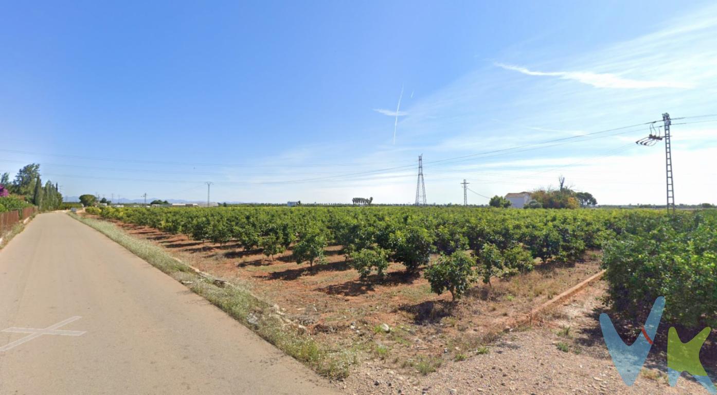 Se vende parcela rústica en la población de Alcàsser, con una superficie de 14.950 m2, o 18 hng, actualmente dedicada a la producción de Caqui, de los cuales hay plantados en torno a 1.200. El campo se encuentra en la Partida de Pla, junto al motor de Pla -también conocido como de Solís-, con las comodidades que ello comporta, dado que riega del mismo. No se disponen acciones, sino que se disponen derechos dependiendo de las hanegadas de cada campo. Además de las boqueras para el riego, el campo dispone de agua al lado con facilidad por si se requiere para polvorizar o para llenar el tractor. Si desea más información no dude en ponerse en contacto con nosotros, estaremos encantados de atenderle.Impuestos, gastos de compraventa, honorarios de la inmobiliaria y financiación no incluidos en el precio. Este inmueble está sujeto a cambios de precio o retirada del mercado sin previo aviso. Este anuncio en su conjunto no es vinculante dado que la información es ofrecida por terceros y puede contener errores. Se muestra a título informativo y no contractual.Esta AGENCIA INMOBILIARIA cumple con la nueva normativa y requisitos que acreditan la capacitación profesional como su demostrada solvencia como empresa e identificación RAICV 00116 en el registro de agentes de intermediación inmobiliaria de la nueva regulación de la Comunitat Valenciana. ( Decreto 98/2022 de 29 de julio)