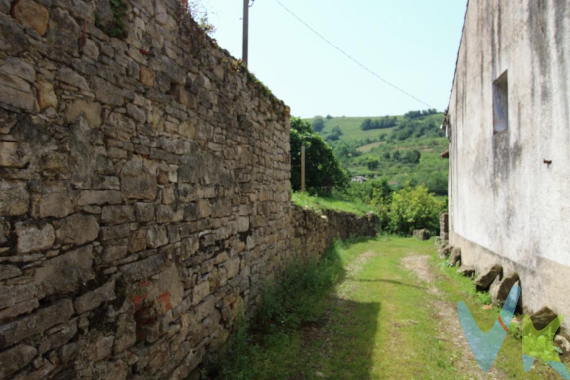 ¿Quieres vivir rodeada de naturaleza sin renunciar a tener vecinos pero con tu espacio privado?Ponemos a la venta está soleada finca edificable en el barrio de Robledo Caldones . tiene una superficie de 2.370 metros con una edificabilidad de 300 metros .A tan solo 15 minutos del centro de Gijón y con la parada de autobús muy cerca de la finca.El ayuntamiento de Gijón va a meter el saneamiento en zona y en la finca quedaría metido.Luz y agua muy próximos a la finca.En la actualidad la finca tiene unos metros de huerto en el que crecen buenísimas verduras.El precio de la propiedad no incluye los gastos de impuestos, registro ni notariales.No dudes en preguntarme para información y una visita a una de las zonas más tranquilas y próximas a Gijón con una orientación de sol magnifica.