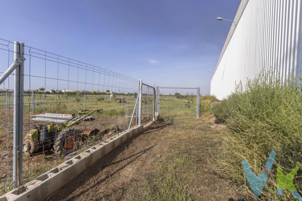 Fantástico terreno agrícola de 3.162 m² situado en Foios, a escasos minutos del centro del municipio. Totalmente vallado y con fácil acceso, este campo ofrece la tranquilidad del entorno rural junto con la comodidad de poder llegar caminando desde la población.Su extensión y localización lo convierten en una excelente oportunidad para quienes buscan un espacio donde disfrutar de la naturaleza y dedicarse al cultivo. El terreno es ideal para plantar hortalizas, frutales o mantener un huerto familiar, gracias a su buen tamaño y las condiciones de la zona, conocidas por la fertilidad de sus tierras.Perfecto tanto para uso agrícola como para pasar agradables jornadas al aire libre, este campo reúne las ventajas del campo tradicional valenciano con la cercanía a todos los servicios que ofrece Foios. Una oportunidad única para quienes valoran la vida tranquila, el contacto con la tierra y el placer de cultivar sus propios productos.Se muestra a título informativo y no contractual. El precio no incluye lo siguiente: Honorarios de la agencia inmobiliaria, impuestos (IVA, ITP) y otros gastos de la Compraventa (notaria, gestoría y registro).