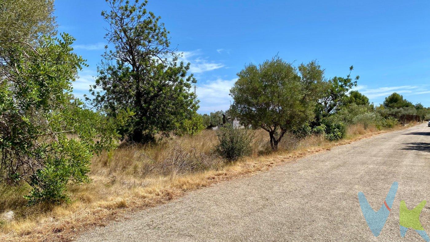 Parcela de terreno urbano no consolidado de morfología trapezoidal plana.  Tiene una superficie bruta de 2.404 m² y neta de 2.275 m², una vez cedidos 128 m² en su fachada Sur, con una ocupación máxima del 40%, una edificabilidad permitida de 3,60 m³ techo/m² suelo y una altura máxima de 9 metros.  En lo que respecta a retranqueos a viales y linderos, el límite de la edificación a carretera y autopista es de 50 metros más 3 metros o 6 metros si es nave industrial. Al resto de linderos 3 metros y 6 metros en naves industriales.  Como conclusión, una vez aplicadas las limitaciones que marca la ordenanza municipal, la superficie ocupable retranqueada es de 740 m².  Se admite todo tipo de vivienda, comercio, industria de servicios, hostelería, talleres mecánicos de servicio de carretera, almacenes e industria en general, espectáculos y salas de fiesta, así como toda aquella instalación de carácter agropecuario no molesta o peligrosa, propia de las zonas contiguas.  Situada en el Oeste del término municipal, junto a la autopista AP7 y alejada 6 kilómetros del casco urbano y zona de servicios. (*) Cláusula de Transparencia y Desglose de Gastos. En cumplimiento de las obligaciones de información previstas en la Ley 10/2025, de 28 de diciembre, de servicios de atención a la clientela y transparencia, así como en la normativa sectorial vigente, se hace constar que el precio indicado no incluye los gastos e impuestos inherentes a la adquisición, los cuales se desglosan a continuación:. - Impuesto sobre Transmisiones Patrimoniales (ITP): Se aplicará el tipo impositivo vigente en la Comunidad Valenciana, generalmente el 10%, sin perjuicio de tipos reducidos aplicables según las circunstancias personales del comprador o las características del inmueble. El impuesto se devenga sobre el Valor de Referencia Catastral o el precio de venta, aquel que resulte superior. Para una información exhaustiva sobre el funcionamiento, tipos impositivos y bonificaciones del ITP, puede consultar el portal oficial de la Agencia Tributaria autonómica en el siguiente enlace: www.atv.gva.es/es/itpajd. - Gastos de Notaría: Los honorarios notariales se calcularán conforme al arancel oficial regulado en el Anexo I, del Real Decreto 1426/1989, de 17 de noviembre, por el que se aprueba el arancel Notarial. - Gastos de Registro: La inscripción en el Registro de la Propiedad se facturará según el arancel oficial establecido en el Anexo I, del Real Decreto 1427/1989, de 17 de noviembre, por el que se aprueba el arancel de los Registradores de la Propiedad. - Gastos de Gestión: Los honorarios por la tramitación administrativa, liquidación de impuestos e inscripción registral, en el supuesto de ser a cargo de la agencia inmobiliaria, ascienden a 302,50 € (IVA incluido). - Honorarios Agencia del Vendedor: incluidos en el precio publicado. - Honorarios Agencia del Comprador: Se informa que eventualmente podrían existir honorarios profesionales a cargo del adquirente, en aquellos casos en que se hubieran contratado previamente los servicios específicos del encargo de compra y en ningún caso estarán vinculados al precio.