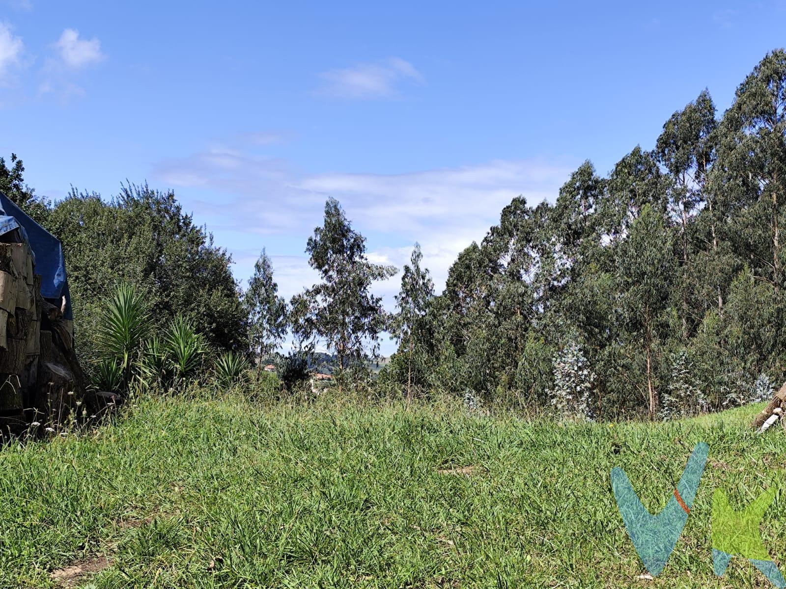 ¡Atención, soñadores de la casa perfecta! Esta parcela en Castañeda es el lienzo ideal para construir tu futuro hogar. Llana y soleada, te ofrece un espacio donde los rayos del sol acarician cada rincón. Su ubicación privilegiada asegura una comunicación fácil por carretera y autovía; ¡adiós a las largas esperas! Además, disfrutarás de vistas despejadas al valle que te dejarán sin palabras. Todo lo necesario está cerca: servicios básicos a pocos minutos y Torrelavega justo a 10 minutitos en coche. Con un potencial del 10% de edificabilidad, esta parcelita no solo promete comodidad sino también estilo de vida rural con todas las ventajas urbanas. ¿Te imaginas construyendo allí? Es tu oportunidad para dar rienda suelta a tus ideas y hacer realidad esa vivienda tan anhelada!. Los impuestos, gatos de notaría y registro no están incluidos en el precio.