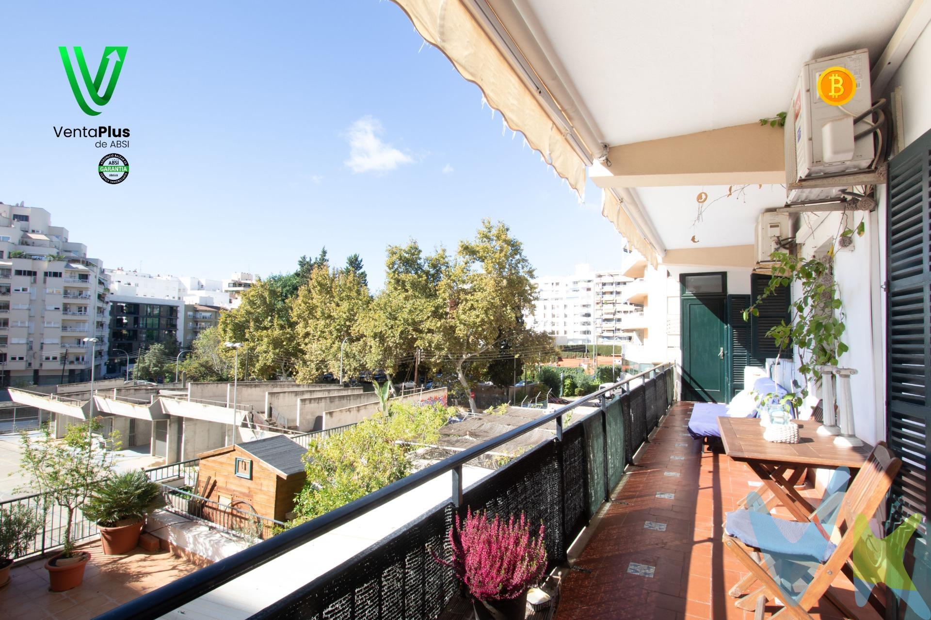 Te presentamos una maravillosa planta baja en el corazón del barrio de Santa Catalina, en Palma de Mallorca, el lugar ideal para aquellas familias que han crecido y necesitan más espacio sin perder la calidez de un hogar acogedor. Esta zona es conocida por su ambiente vibrante, con una oferta de restaurantes, cafés y tiendas que le dan un encanto único. Además, para los amantes del deporte y la vida activa, el prestigioso club de tenis está a pocos metros, proporcionando una excelente opción para mantenerse en forma y disfrutar de actividades al aire libre. La propiedad cuenta con 214 m² perfectamente distribuidos en un diseño que combina comodidad y elegancia. Desde el momento en que entras, un espacioso hall te recibe y te lleva a un pasillo que distribuye las tres habitaciones dobles, una de ellas con un vestidor de 10 m² pensado para ofrecerte el confort y la privacidad que necesitas. Seguido de las habitaciones, se encuentran los dos baños completos y un despacho ideal para trabajar o estudiar desde casa, creando espacios cómodos y funcionales. A continuación, llegamos a los dos amplios salones y un comedor luminoso, perfectos para relajarse o disfrutar en familia. La cocina, completamente equipada y con despensa, se conecta tanto con los salones como con el comedor y cuenta con una mesa para cenas informales, ideal para compartir momentos especiales del día a día. Finalmente, encontrarás una terraza alargada de 16 m², perfecta para disfrutar de momentos al aire libre en un entorno íntimo y acogedor. Además, la propiedad dispone de un práctico espacio de lavandería. Esta vivienda desprende un encanto único, con techos altos que aportan carácter y estilo, además de una carpintería interior en madera que suma calidez. La carpintería exterior de PVC con cristal climalit garantiza un aislamiento perfecto. Además, el sistema de radiadores de agua caliente distribuye el calor de manera eficiente por toda la casa, mientras que el aire acondicionado en los salones y la cocina asegura confort durante todo el año. Santa Catalina y esta fantástica propiedad te esperan para que vivas a plenitud cada rincón de tu nuevo hogar. Este inmueble ha sido certificado por ABSI (Asociación Balear de Servicios Inmobiliarios), lo que significa que la agencia comercializadora ha supervisado la documentación necesaria para la compraventa y que el inmueble forma parte de la bolsa de propiedades en multiexclusiva ABSI. Inmobiliaria Inscrita en el Registre Oficial d’Agents Immobiliaris de les Illes Balears con el NÚMERO REGISTRO: GOIBE747077/2024