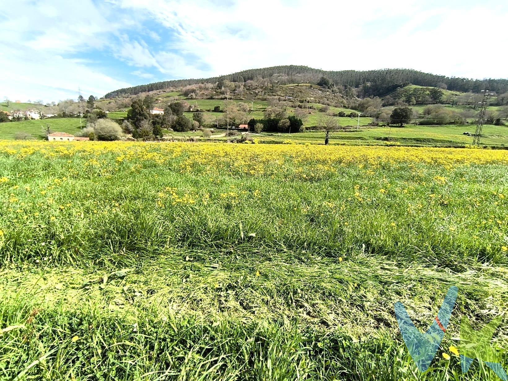 Descubre esta atractiva parcela RUSTICA ubicada en la tranquila zona de Lloreda de Cayón, ideal para quienes buscan un espacio natural donde desarrollar proyectos agrícolas o pasar ratos en familia. Con una superficie total de 1652 metros cuadrados, este terreno ofrece múltiples posibilidades gracias a su entorno rural y apacible. A tan solo unos minutos del centro urbano, disfrutarás del equilibrio perfecto entre tranquilidad y accesibilidad. No pierdas la oportunidad de adquirir tu propio rincón en la naturaleza. NO SE PUEDE EDIFICAR UNA VIVIENDA. Los impuestos, gastos de notaria y registro no están incluidos en el precio.