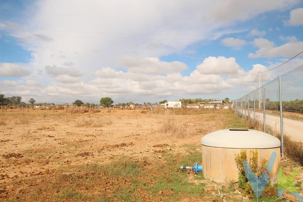 Fantástica parcela rústica con acometida de la comunidad regante. Con 11385 de superficie, es totalmente llana y con una forma perfecta para acometer una construcción. Situada muy cerca del aeropuerto y con una perfecta comunicación con la ciudad. Extras: Pozo. De acuerdo con lo prevenido en el Decreto 218/2005, de 11 de octubre, se informa al cliente que los Gastos Notariales, Registrales, impuesto de transmisiones (ITP) o I.V.A., Honorarios de intermediación, Gastos financieros, y otros gastos inherentes a la compraventa no están incluidos en el precio.