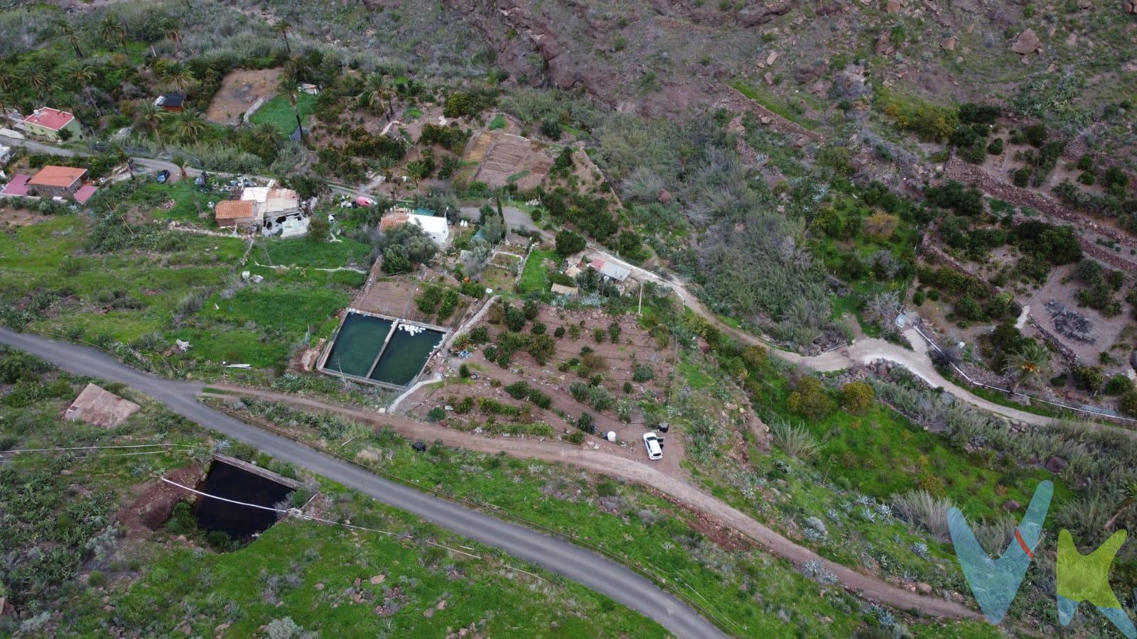 📍 Ubicación y Entorno:. Situado en el corazón del Barranco de Arguineguín, el terreno se beneficia de un microclima excepcional, caracterizado por temperaturas suaves durante todo el año y cielos despejados. El terreno es un auténtico mirador natural. Desde cualquier punto de la parcela, se disfruta de bellas vistas panorámicas a las montañas que flanquean el barranco🏝️. 🌳 Potencial del Terreno:. Dada su ubicación en el barranco, la tierra suele ser muy fértil, ideal para: Árboles Frutales y verduras: Especialmente cítricos (limoneros, naranjos), mangos o incluso aguacates, duraznos, papas.. que prosperan en este clima🍊🍋☀️ 🥑💧. 📑Caracteristicas: . 🌱1 subparcela de 1422 m2 vallado.       1 subparcela de 479 m2.       1 subparcela de 633 m2. 🌊1 estanque . 💧8 horas de agua del naciente. ⚙️💧Motobomba; perfecta para fincas aisladas sin electricidad. Tienen mucha potencia para mover grandes caudales de riego. 💧Agua de abasto. 🛠️Comunidad de regantes. 🥭Árboles frutales y 🥔verduras plantadas. 🚜Uso agrícola: Huerto familiar o de fin de semana👨‍👩‍👧‍👦. 🚗 Accesibilidad. Una de sus mayores ventajas es el acceso directo por carretera asfaltada y carretera secundaria de tierra. Olvídate de pistas de tierra complicadas; puedes llegar cómodamente en cualquier tipo de vehículo hasta la misma entrada del terreno. Un huerto para autoconsumo es una de las mejores inversiones que puedes hacer en tu salud, tu economía y tu bienestar. No hay nada como el sabor de tus propias verduras y frutas🚜⛏️🪴. 🔑*Visitas a la propiedad*: Todos los interesados en ver la propiedad deberán presentar un documento de identificación válido, como DNI, NIE o pasaporte, antes de la visita. Además, se requerirá que firmen una hoja de visita al ingresar a la propiedad. INFORMACION ADICIONAL:. - El uso de la propiedad estará siempre sujeto a la legislación vigente. - Información legal: El Precio de Venta al Público (PVP) no incluye impuestos ni gastos de escritura, que legalmente corresponden al comprador y se estiman entre un 8% y 10% adicional. Estos costes comprenden el ITP (6,5% general, sujeto a excepciones) en viviendas de segunda mano, o IGIC (7%) y AJD (1%) en obra nueva, además de aranceles de Notaría y Registro (aprox. 0,3% - 0,8%) y gestión documental. La base imponible se calculará sobre el mayor valor entre el precio de venta, la tasación o el valor de referencia catastral. Los gastos derivados de la financiación (tasación y gastos bancarios) corren a cargo del comprador según su elección, mientras que los honorarios de intermediación inmobiliaria están incluidos en el precio y son asumidos por el vendedor. Operación sujeta a aceptación expresa del vendedor e información legal completa a disposición del consumidor. - La información sobre la propiedad está sujeta a posibles errores y cambios involuntarios. 