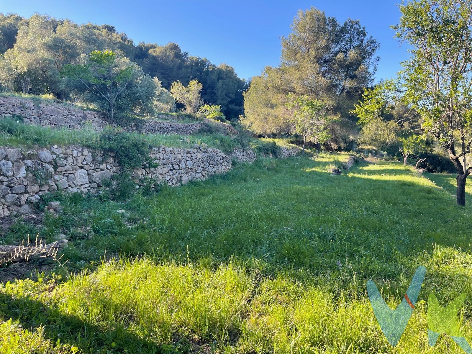 🌿 MASÍA CON ENCANTO EN EL DESIERTO DE LAS PALMAS 🌿. Naturaleza, privacidad y un proyecto único con alma mediterránea ✨. Oportunidad excepcional de adquirir una auténtica masía situada en pleno paraje natural del Desierto de las Palmas, perteneciente al municipio de Cabanes 📍, uno de los enclaves más exclusivos y tranquilos de la provincia de Castellón. 🚗 Ubicación privilegiada:. ✔️ Junto al camino principal. ✔️ A solo 20 minutos de Benicàssim. ✔️A media hora de la Playa del Voramar 🌊, considerada una de las playas más emblemáticas y valoradas del Mediterráneo. La finca cuenta con un amplio terreno con bancales en buen estado y cada uno de ellos diáfano 🌳, ideal para crear espacios exteriores únicos y disfrutar de la tranquilidad y belleza del entorno natural. 🏡 La estructura original de la masía se encuentra en buen estado de conservación, ofreciendo una magnífica base para desarrollar una reforma integral manteniendo el carácter rústico y auténtico de la propiedad. ✨ Propuesta de reforma con materiales de primera calidad ( se propone ejemplos de Renders de cómo podría quedar la posible reforma) : . 🔸 Planta baja:. • Amplio salón-comedor lleno de luz natural ☀️. • Cocina integrada de diseño 🍽️. • Aseo de cortesía. 🔸 Primera planta:. • Dos habitaciones dobles 🛏️🛏️. • Baño completo con acabados premium 🚿. 🔥 En la parte exterior trasera existe la posibilidad de proyectar una acogedora terraza con zona de barbacoa, perfecta para disfrutar de reuniones al aire libre, relax y atardeceres inolvidables. 💎 Una propiedad con enorme potencial, ideal como vivienda habitual, segunda residencia o inversión con gran atractivo turístico. 🌿 Naturaleza, autenticidad y calidad de vida en plena naturaleza y a pocos minutos del mar. Por mandato expreso del propietario comercializamos este inmueble mediante contrato de multi-exclusiva, por el cual numerosas agencias colaboradoras, nacionales e internacionales, ofrecen esta vivienda a sus potenciales compradores, todo ello garantizando un servicio de calidad, un trato fácil, sencillo y sin interferencias de terceros, ya que la gestión es a través de nuestra agencia. *Impuestos, gastos de compraventa tales como honorarios agencia y financiación no incluidos. 