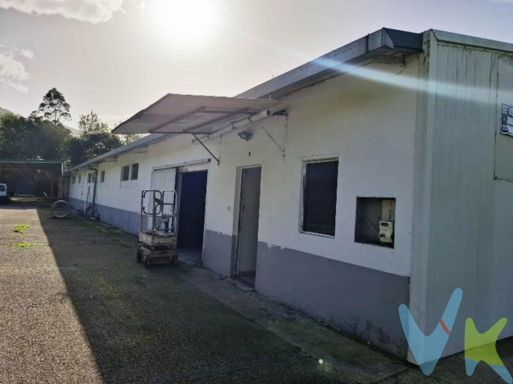 ¡Se vende finca rústica con nave agraria en Celis-Rionansa!Se ofrece finca de 4.000 m² situada en un entorno natural privilegiado, en la tranquila zona de Celis, Rionansa, muy próxima al conocido pueblo de San Sebastián de Garabandal.Incluye una nave de 401m² destinada a uso agrario, ideal para múltiples actividades como, almacenamiento de maquinaria o herramientas, refugio para animales de granja, espacio para cultivo de productos de la huerta, invernaderos o proyectos de agricultura ecológica, etc...Con previa autorización de la CROTU se puede construir una vivienda unifamiliar.Terreno con fácil acceso, rodeado de naturaleza y perfecto para quienes buscan iniciar o ampliar una actividad agrícola o ganadera.Gran oportunidad tanto para uso propio como para inversión rural.¡Contacta para ampliar información o para visitar la finca!Gastos e Impuestos no incluidos en el precio. Compra sujeta a ITP. El comprador se hará cargo de los costes de la escritura e inscripción en el Registro de la Propiedad.Más información sobre transparencia, impuestos, gastos y condiciones de compraventa en nuestra web www.activanorte.com