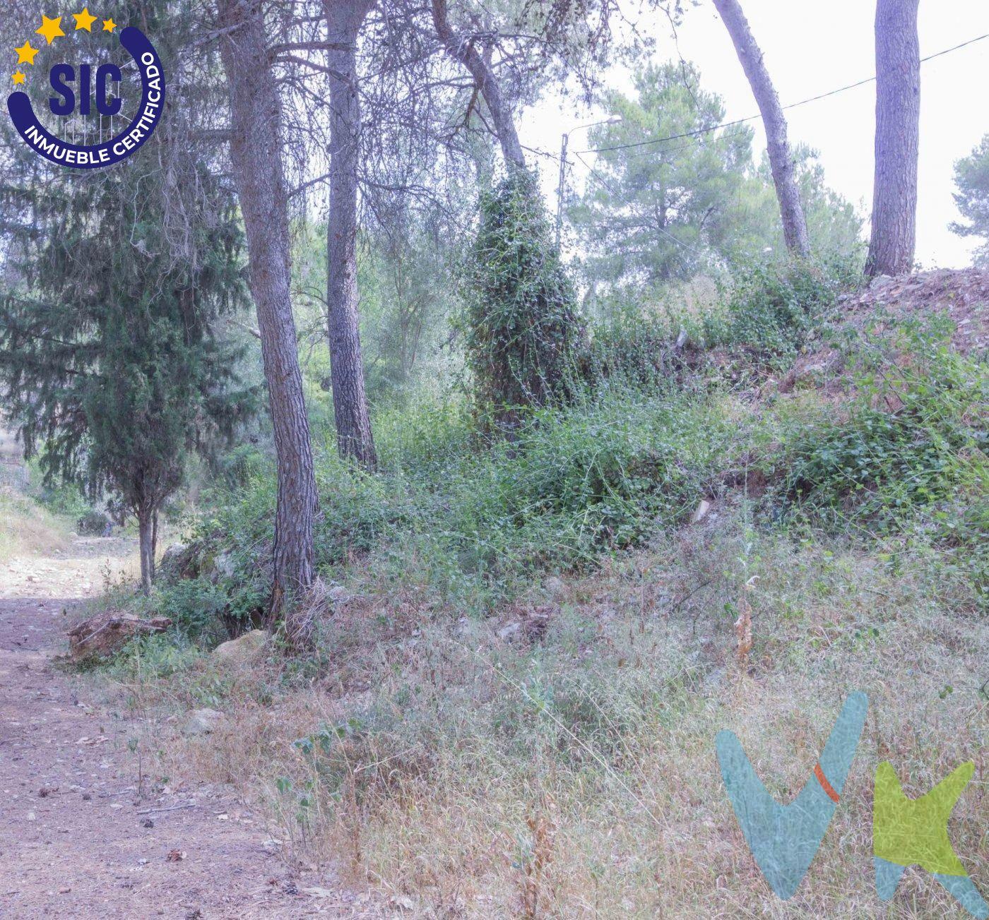 Te presentamos una oportunidad excepcional que podría cambiar tu vida. Ponemos a la venta un espectacular terreno urbano de 7400m2 ubicado en la exclusiva urbanización Cumbres de Calicanto, situado en la calle Torrente. Este es tu momento para convertir tus sueños en realidad. Lo más destacado de esta oferta es que disponemos de un completo informe urbanístico de la parcela que revela todas las emocionantes posibilidades de construcción que ofrece. Imagina las maravillas que podrías crear en este espacio; las oportunidades son realmente ilimitadas. Ya sea que estés en la búsqueda de un lugar para construir tu hogar ideal o para desarrollar un proyecto de inversión, ahora es el momento perfecto para tomar medidas. No querrás dejar pasar la oportunidad de adquirir este valioso terreno y dar vida a tus ambiciones. Es importante tener en cuenta que el precio de venta al público no incluye los gastos de adquisición, como los honorarios notariales, registrales, de gestión, entre otros. Además, debes ser consciente de que los muebles, enseres, vehículos u otros bienes muebles que puedas ver en las fotografías no están incluidos en el precio de transmisión, a menos que se indique expresamente en el anuncio. Si esta emocionante oportunidad ha capturado tu interés, te invitamos a ponerte en contacto con nosotros de inmediato. Estamos aquí para brindarte más información y ayudarte a dar el primer paso hacia la realización de tus proyectos. ¡No permitas que esta oportunidad única se escape de tus manos!