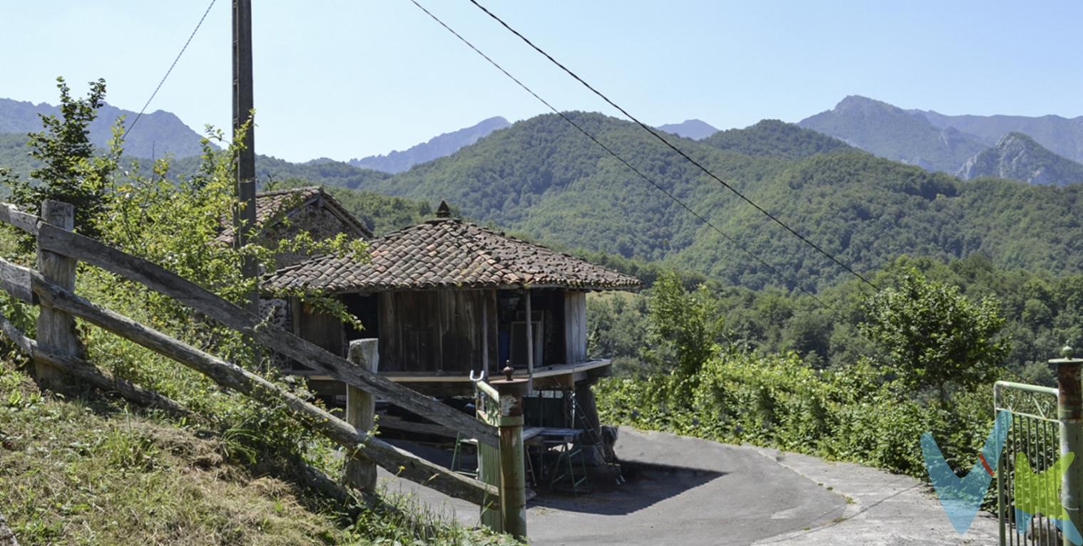 Vivir y trabajar en pleno corazón de la Reserva de la Biosfera  El Parque Natural de Redes es un trocito de paraíso Esta propiedad en venta es un placer para los sentidos, la receta de la tranquilidad y la vida saludable.
En el Concejo de Caso, en la aldea de La infesta, en un privilegiado entorno natural y con un espectacular e infinito horizonte, se ubica esta completa propiedad, perfecta para convertirse en la vitamina de tu nuevo proyecto.
La finca, con 22.000 m2 de terreno forma parte del Parque Natural de Redes.
Su vegetación predominante se compone de hayedos, seguido por manchas de roble albar y castaño. Sus bosques, con zonas de pasto y matorral, son los más destacados de las cuencas altas del río Nalón. El hayuco, nutritivo fruto de las hayas forma parte de la alimentación de la fauna del Parque de Redes.
Salteados encontramos fresnos, tejos, abedules o acebos y en la alta montaña se desarrollan también los matorrales de enebro rastrero, con gayuba en las peñas calcáreas y con brecina y arándano en los sustratos silíceos. 
A la propiedad se llega por una pista hormigonada de fácil acceso, que continua unos metros más, hasta la Aldea de La Infesta, Concejo de Caso, dónde se ubica este conjunto rural en venta, compuesto por hórreo, casa, pajar, cuadra, antojana y finca.
Nos recibe un bello hórreo rehabilitado y junto a él, una edificación tradicional de piedra y madera. Esta edificación está rodeada en todo su perímetro por una antojana (Del lat. ante \'delante\' y ostium \'puerta\'). El uso de la antoxana ha cumplido una función de gran relieve en el mundo rural, ligada inseparablemente a la construcción, se ha venido utilizando como espacio de trabajo, depósito de herramientas, carga y descarga, sino también como lugar de esparcimiento, descanso, tertulia y solaz.
En su fachada Este, tenemos la entrada a la vivienda, distribuida de la siguiente manera:

Entrada
Baño completo
Dormitorio
Cocina y comedor
Salón
2 Dormitorios

Adosada a la vivienda se encuentra un antiguo pajar en proceso de rehabilitación que consta de dos plantas. A la planta inferior (la antigua cuadra) se accede desde la parte oeste de la edificación. En esta fachada oeste también se encuentra la planta baja de la vivienda, que puedes integrarla a la misma mediante una escalera interior o destinar esta gran estancia a cualquier otro uso con acceso desde la antojana.
Toda esta edificación, cómo habíamos comentado, se encuentra en proceso de rehabilitación, con un proyecto aprobado para destinarlo a la explotación turística como apartamentos rurales. Tu puedes hacer lo que quieras, porque esta espectacular propiedad está llena de recursos y posibilidades para desarrollar en ella tu proyecto, tu vida y tu futuro.
Datos que te pueden interesar:

La propiedad se encuentra en plena ruta senderista de Los Arrudos, muy popular entre los aficionados al senderismo y a la montaña.


El municipio de Caso es uno de los concejos con más personalidad del Principado de Asturias. Conocer este concejo y sus gentes no te dejará indiferente.
El precio de la propiedad no incluye los gastos de impuesto de transmisiones patrimoniales, notariales ni de registro