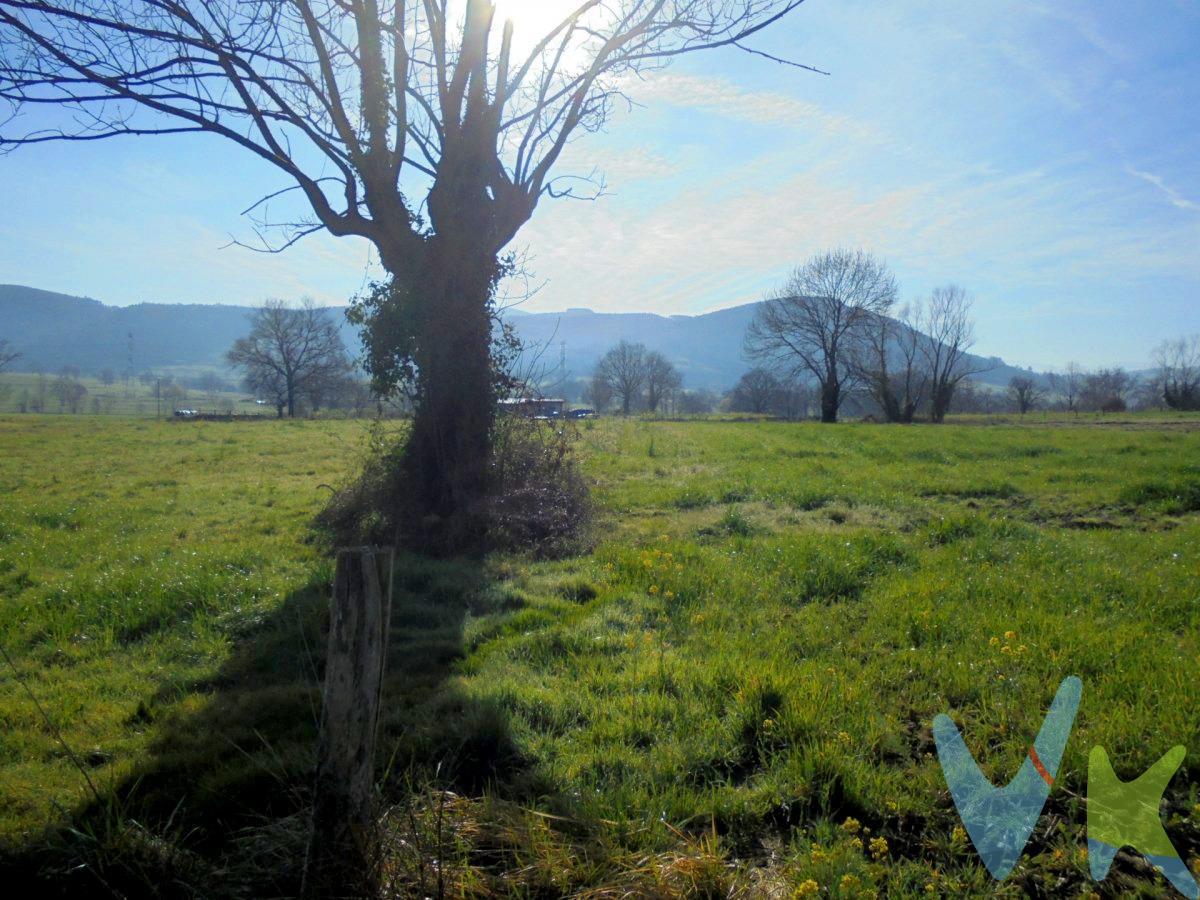 Terreno rustico con una superficie de 10.000 m2 completamente llano.  Ideal para ganaderia o agricultura.  Servicios de agua y luz junto a la finca.  Llamanos para mas informacion y concertar una visita. Los impuestos, gastos de notaría y registro no están incluidos en el precio