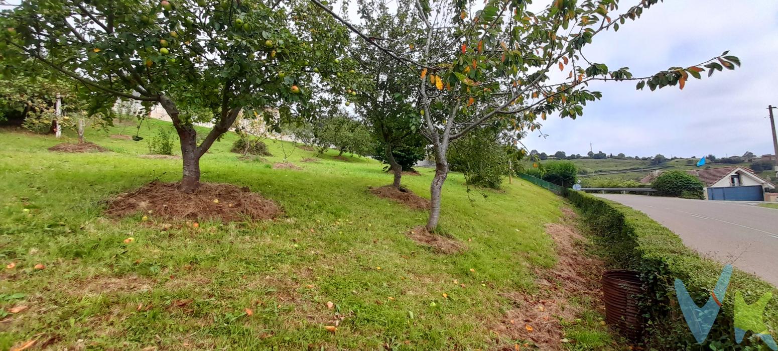 Finca edificable en venta zona Alto la Madera Siero.La ubicación es privilegiada, ya que se encuentra en San Martín de Anes, una localidad que combina la comodidad de vivir en un entorno rural con la cercanía a importantes servicios y comodidades. Además, cuenta con excelentes conexiones viarias que permiten el acceso rápido y cómodo a otras poblaciones cercanas.La finca en venta es amplia, ideal para aquellos que buscan construir su hogar a medida. Con sus 300 metros cuadrados edificables, ofrece la posibilidad de diseñar y construir la casa de tus sueños, adaptada a tus gustos y necesidades.Gran variedad de árboles frutales. Muy buena orientación. Impresionantes vistas.A tan solo 15 minutos de Gijón. 10 minutos de Pola de Siero y 20 de Oviedo.  Una de las mayores ventajas de esta finca es el agua y la luz que se encuentra en el camino de entrada. Esta característica es especialmente valorada en zonas rurales, donde en ocasiones es complicado y costoso acceder a este tipo de servicios básicos. Aquí, podrás disfrutar de todas las comodidades de la vida moderna sin renunciar a la tranquilidad que ofrece vivir en el campo.Además, la finca está cerrada con muro de piedra y seto, lo que garantiza la privacidad y seguridad de sus propietarios. Esto es especialmente importante para aquellos que buscan un lugar donde desconectar del bullicio de la ciudad y disfrutar de la tranquilidad en plena naturaleza.No pierdas la oportunidad de visitar esta finca, estamos seguros de que quedarás impresionado con todas sus características y posibilidades. Para más información o concertar una visita, no dudes en contactar con nuestro agente. quien estará encantado de atender tus consultas y resolver cualquier duda que puedas tener.En resumen, esta finca edificable en venta en San Martín de Anes, es una oportunidad única para aquellos que buscan construir su hogar a medida, en un entorno tranquilo y rodeado de naturaleza. No pierdas la oportunidad de visitarla! y comienza a hacer realidad el hogar de tus sueños. 