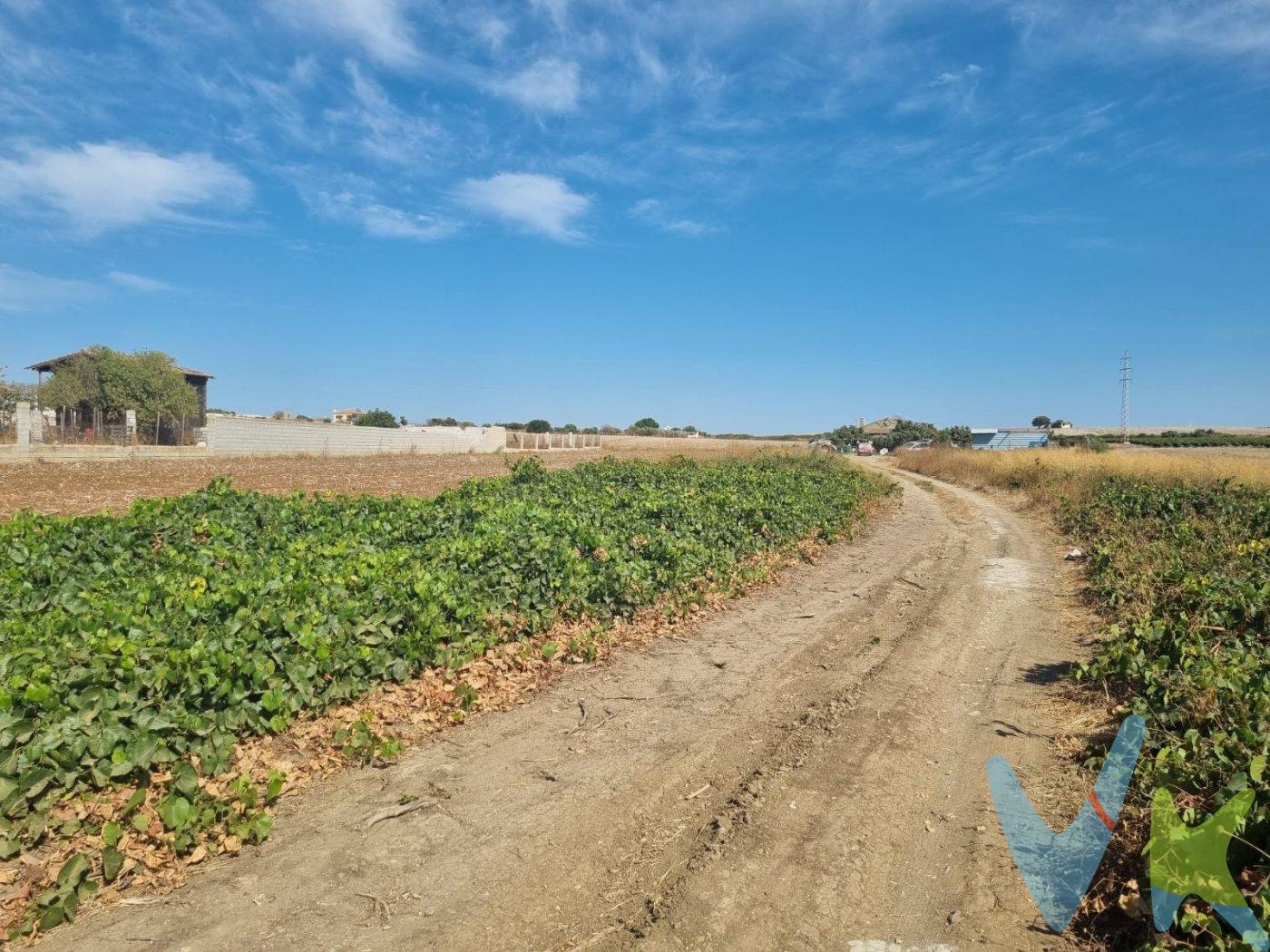 Se vende parcela rural, su uso principal es el agrario. La finca esta totalmente segregada, cuenta con 3.470m2.  No dispone de contandor de luz ni de agua. Se encuentra en un entorno rural a 5 minutos de la venta tocino.  .  Si desea una parcela en entorno rural y retirado de la ciudad esta puede ser la opción que estabas buscando.  .  Pida su cita.