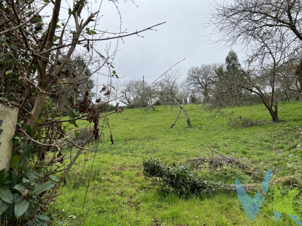En venta dos fincas en Baldornon , que están juntas , de unos tres mil quinientos metros cuadrados .NO EDIFICABLE.Totalmente cerradas.Zona muy fértil, ideal para plantaciones agrícolas, o ganaderas .Con acceso directo desde carretera .Tiene enganche de la EMA, que tendra que estar vinculada a una explotacion ganadera o agricola .En el precio no están incluidos los gastos de Notaria y Registro.Por ser rustica no edificable No tiene gastos de transmisiones Patrimoniales. 