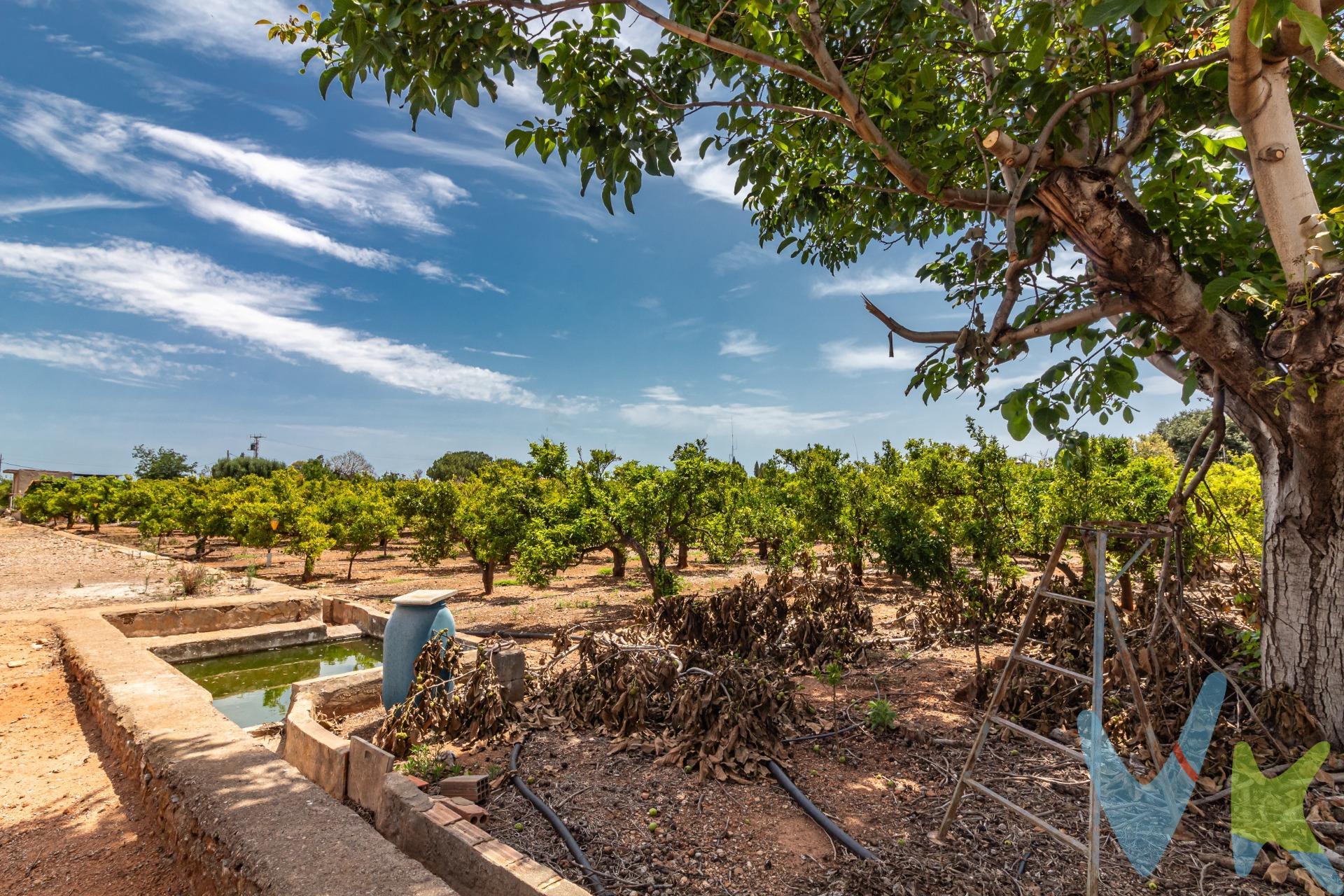 Se vende terreno no urbano situado en la zona de Partida Pinella, Vila-real. El terreno cuenta con una superficie total de 11400m². El terreno dispone de agua a través de una balsa que se llena de agua que proviene del pozo El Mijares del que le corresponden 13,5 acciones y conexión eléctrica rural, brindando las comodidades necesarias para su uso o desarrollo futuro. Este espacio ofrece múltiples posibilidades tanto para particulares como inversores interesados en desarrollar proyectos rurales o agrícolas. Su ubicación estratégica cerca del núcleo urbano garantiza acceso a servicios básicos mientras se mantiene la tranquilidad propia del entorno rural. ¡No lo dudes y contacto con nosotros para más información!