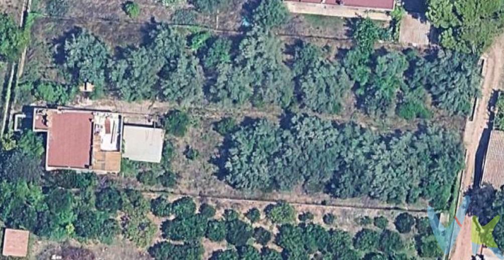 Maset en la marjalería, zona Ramell (cerca de la basílica de Lidón). Vivienda registrada actualmente con una superficie de solar de  y de casa de . Tiene la cubierta reformada, con aislante en perfecto estado. En la zona exterior tiene un porche para aparcamiento, barbacoa, trastero y una balsa de riego. ✨ ¡No dejes escapar esta oportunidad de vivir donde siempre has querido!                                                                                                                                                                                                                                            Por mandato expreso del propietario comercializamos este inmueble mediante contrato de multi-exclusiva, por el cual numerosas agencias colaboradoras, nacionales e internacionales, ofrecen esta vivienda a sus potenciales compradores, todo ello garantizando un servicio de calidad, un trato fácil, sencillo y sin interferencias de terceros, ya que la gestión es a través de nuestra agencia. *Impuestos, gastos de compraventa tales como honorarios agencia y financiación no incluidos. 