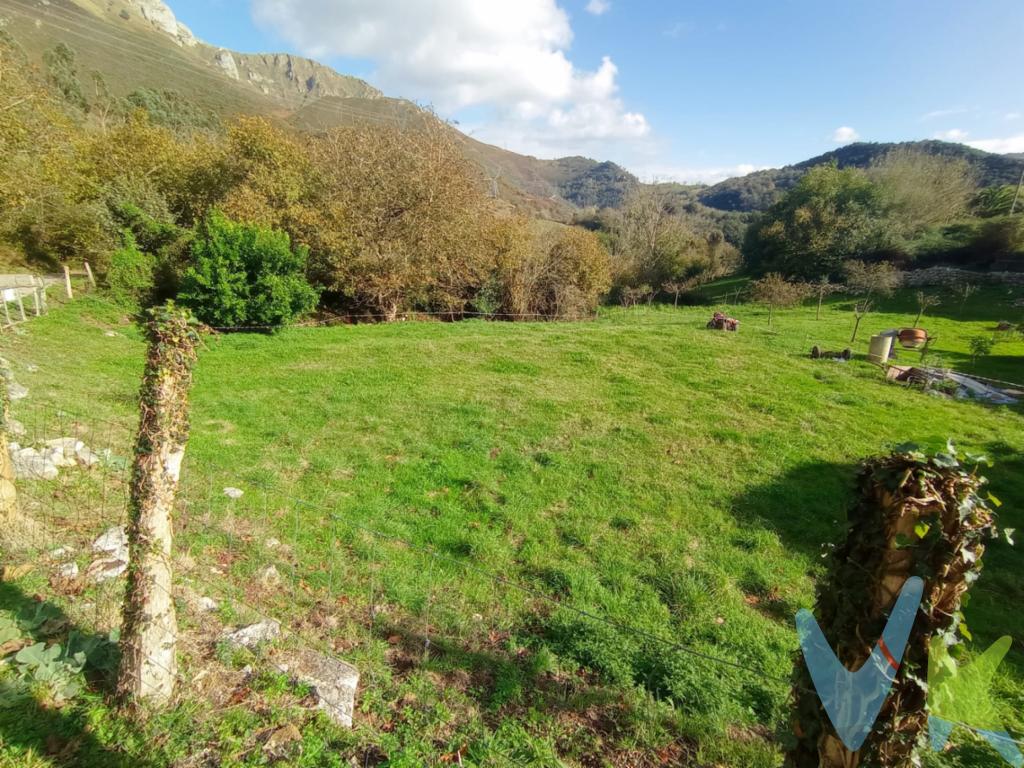 Muy cerca de Cantabria, en Llonín, preciosa parroquia de Peñamellera Alta, en Asturias, tenemos para la venta esta bonita parcela en la que se puede construir una vivienda de hasta 200m² en dos plantas, donde podrás crear tu hogar o tener una segunda residencia.La parcela, en plena naturaleza, tiene buen acceso rodado y todos los servicios al lado.Esta encantadora aldea junto al río Cares, se encuentra al sur de la Sierra del Cuera, inmersa en Los Picos de Europa, y está a tan solo 25 minutos de la playa.Cuenta con un entorno y unas vistas espectaculares, donde podrá desconectar y disfrutar de la naturaleza en un ambiente de tranquilidad total lejos del ruido de la ciudad.No dudes en ponerse en contacto con nosotros y no te arrepentirás!!!