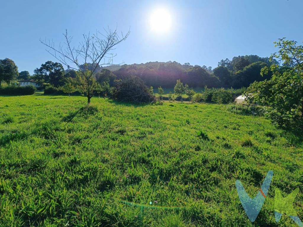 ¡Oportunidad única en Lavandino, Oviedo! Finca urbanizable de 9.000 m² con múltiples posibilidadesSe vende finca urbanizable en la zona de LG Granja, 33194 Oviedo (Asturias), con una superficie total de 9.000 m².La parcela cuenta con posibilidad de segregación en dos fincas independientes, cada una con una edificabilidad de hasta 300 m², ideal para construir dos viviendas unifamiliares en un entorno natural, tranquilo y muy bien comunicado.Características principales:Una excelente oportunidad tanto para inversión como para proyecto de vivienda particular. ¡No dejes pasar esta ocasión de construir en plena naturaleza sin renunciar a la cercanía de la ciudad!A pocos minutos del centro de OviedoBuen acceso y entorno rural privilegiadoDispone de invernaderoIncluye almacén de 60 m² ya construidoEdificabilidad por parcela: 300 m²Urbanizable y segregable en dos parcelasSuperficie total: 9.000 m²*Consulta precios si quieres segregarla y adquirir solo la mitad de la finca.