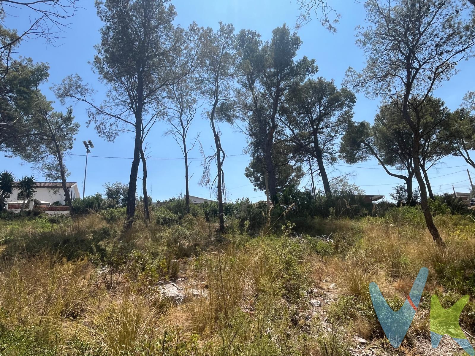 ¿Quieres construirte la casa de tus sueños en una zona tranquila, rodeada de naturaleza y a pocos minutos de Sitges?. Este terreno en Vora Sitges, Canyelles, es una excelente oportunidad para hacerlo realidad. Se trata de una parcela llana de 744 m², muy cómoda para edificar y con vistas despejadas, ofreciendo privacidad y un entorno privilegiado. Datos urbanísticos – Clave R6b:. Edificabilidad: 55% → 409 m² construibles. Ocupación máxima: 30% → 223 m². Construcción auxiliar: 5% → 37 m². Alturas permitidas: sótano opcional + planta baja + 1 planta piso. Una parcela ideal para proyectar una vivienda amplia, luminosa y totalmente personalizada, con espacio para jardín, piscina y zona exterior. Perfecta para quienes desean disfrutar de tranquilidad y naturaleza sin renunciar a la proximidad de Sitges y Vilanova i la Geltrú. El precio no incluye impuestos (ITP y/o IVA) ni gastos de compraventa (notaría y registro según ley). Los honorarios profesionales de la agencia están incluidos en el precio de venta. La información expuesta es orientativa y puede estar sujeta a errores u omisiones involuntarias. Aicat 4677