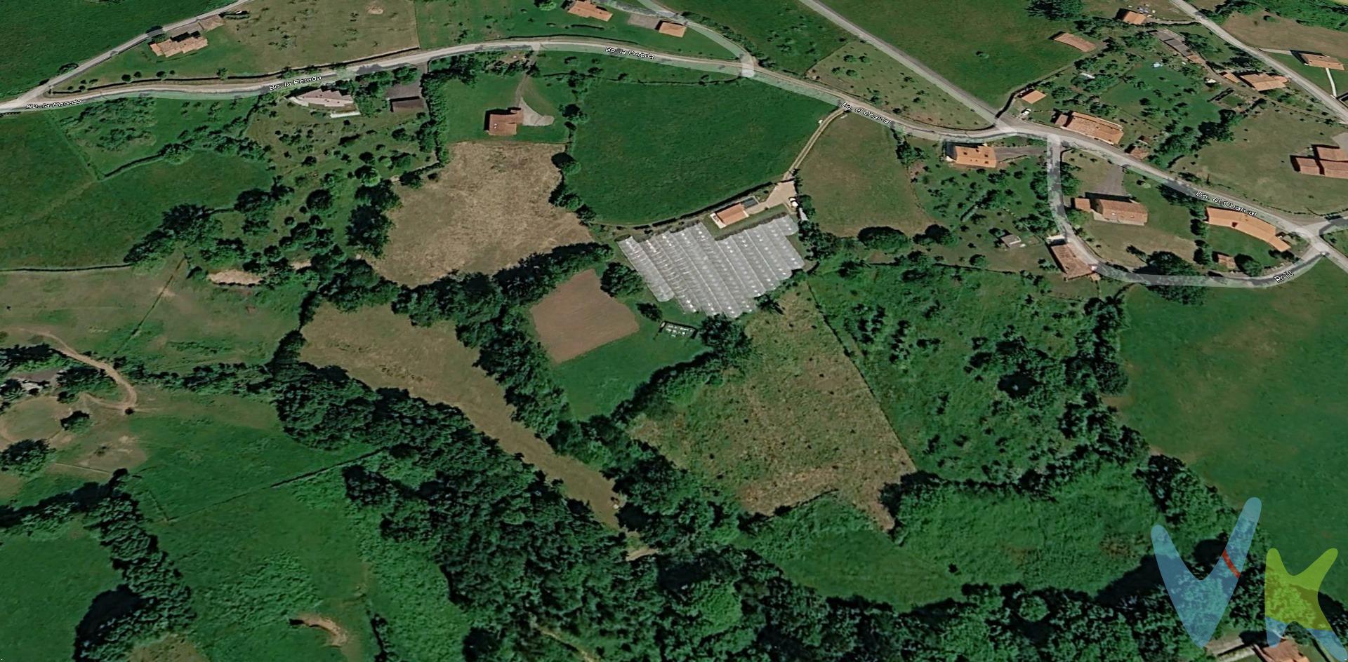 Descubre esta impresionante finca cerrada de 13,200 m2 en Gobiendes, Colunga, donde la belleza natural asturiana se encuentra a tus pies. Situada a solo 3 km de las cautivadoras playas de Isla y Espasa, este paraíso es ideal para los amantes del campo y la tranquilidad. Durante los últimos nueve años ha sido dedicada al cultivo ecológico con frutales y pequeños frutos rojos; una oportunidad perfecta si te interesan las subvenciones PAC. La propiedad incluye diez invernaderos macrotunel equipados completamente para el cultivo: bombas automáticas, balsa acumuladora e incluso un sistema eficiente de riego. Además cuenta con CEA aprobada por la Consejería de Desarrollo Rural del Principado para colmenas. Un atractivo añadido es la vivienda semi-nueva construida en piedra y madera que acompaña al terreno: tiene todo lo necesario como hogar acogedor (60 m2), con una habitación confortable, baño completo y salón equipado con chimenea —perfecto después de un día trabajando en tu propio huerto o disfrutando del entorno idílico. Este rincón único está diseñado especialmente para quienes buscan vivir sosteniblemente rodeados por naturaleza deslumbrante. . Nota importante: el precio no incluye gastos notariales ni administrativos relacionados (Registro Propiedad o Transmisiones Patrimoniales). Los honorarios inmobiliarios son asumidos exclusivamente por el vendedor.