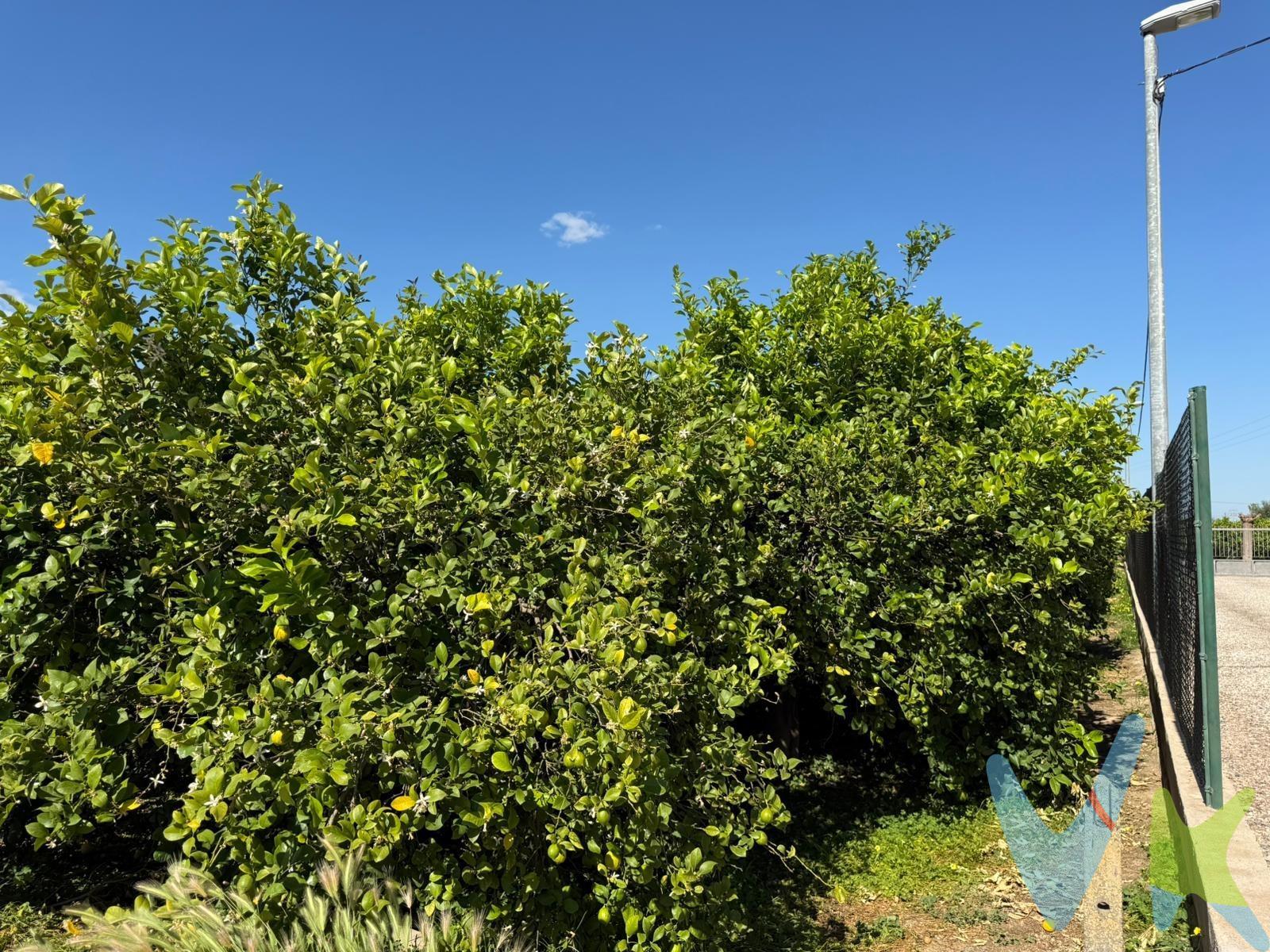 Oportunidad de adquirir dos parcelas rústicas conjuntas, situadas en una zona tranquila y de fácil acceso, en Carril de los Alejos, paraje Los Cabecicos, en Llano de Brujas. Las parcelas cuentan con superficies de:. • Parcela 1: 2.593 m². • Parcela 2: 3.218,24 m². • Total Parcelas: 5.811,24 m². Terrenos ideales para uso agrícola, recreativo o inversión, ubicados en un entorno natural con buen acceso y cercanía al núcleo urbano. Zona muy demandada por su tranquilidad y conexión con Murcia y pedanías cercanas. Para más información o visitas, no dude en contactar. PVP: 139.900. No incluye gastos, impuestos y demás gastos legalmente correspondan al comprador: ITP del 7,75% con carácter general; existen excepciones según normativa aplicable (1). Base imponible el mayor valor entre el precio de venta o el valor referencia catastral. Gastos Notaría y Registro: 1.900€ aprox. según complejidad y aranceles vigentes (2). Financiación: gastos de hipoteca, tasación y gatos bancarios a cargo del comprador, según su necesidad y elección. Servicio doble de intermediación: Honorarios inmobiliaria a cargo del comprador: 3% precio final con un mínimo de 3.000€, más IVA (21%), salvo acuerdo contrario tras negociación, no incluidos en PVP. Operación y condiciones de compraventa sujeta a aceptación expresa del vendedor. Para acceder a información y documentación legalmente exigible por el consumidor: https://www.inmotasa.es/consumidor/ .   Comercialización en multiexclusiva: Por mandato expreso del propietario, este inmueble se comercializa en multiexclusiva, lo que garantiza un acceso completo a la información, un servicio profesional y una gestión ordenada, sin interferencias de terceros. Si eres agente inmobiliario y tienes un cliente interesado, estaremos encantados de colaborar.    Una compra tranquila y bien acompañada: Al contactar directamente con nosotros, evitarás molestias innecesarias a la propiedad. Nos encargamos de toda la intermediación, facilitándote la documentación, la información necesaria y un trato cercano, claro y sin complicaciones.  (1) Para una información exhaustiva sobre el funcionamiento, tipos impositivos y bonificaciones del ITP en la Región de Murcia, puedes consultar el portal oficial de la Agencia Tributaria Autonómica en el siguiente enlace: agenciatributaria.carm.es/ITPAJD. (2) Tarifas notariales y registrales reguladas en Anexo I Del Real Decreto 1426/1989 y, Anexo I Del Real Decreto 1427/1989, respectivamente.