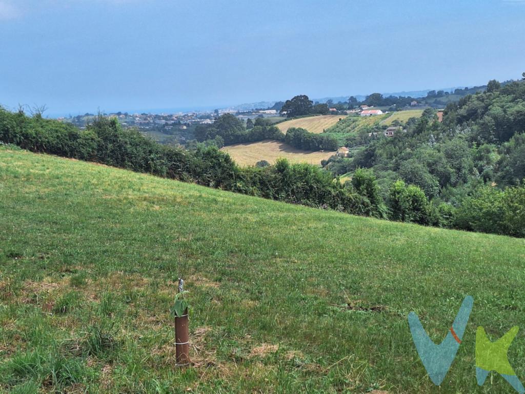  ¡Oportunidad única tanto para inversores como para particulares en las proximidades de Gijón!La verdad es que el día que quedamos con el propietario para conocer la finca no sabíamos muy bien que nos íbamos a encontrar. Nos había dicho que era muy especial y la verdad es que no nos mentía  Con un día de sol, al llegar nos encontramos con más de 3.000 m2, con unas vistas increíbles de Gijón, con un acceso fantástico y con todos los servicios a pie de la propiedad.Para tratar de facilitar el proceso de construir vuestro hogar, os damos la posibilidad de adquirir la parcela tal y como se encuentra, o si os resulta más cómodo, os podríamos ofrecer la opción de ayudaros con ideas respecto a la construcción de vuestra casa. Tenemos alguna que creemos que encajaría perfectamente con las características de la finca y con esas vistas únicas.La conectividad y accesibilidad son otros puntos fuertes de esta propiedad. Está situada en entorno rural aunque a escasos minutos del centro de Gijón, lo que permite disfrutar de la vida urbana sin renunciar a la tranquilidad y el espacio que solo una finca como esta puede ofrecer. La parcela está rodeada de bellos paisajes y áreas verdes, lo que la convierte en un lugar ideal para aquellos que buscan establecer su hogar en un entorno natural sin abandonar la cercanía a la ciudad.Entre las múltiples ventajas que ofrece esta finca, destaca su versatilidad. La parcela es completamente edificable, lo que permite adaptarla a las necesidades y deseos del comprador, jugando con la orografía. Esta propiedad es, sin lugar a dudas, una muy buena opción también para aquellos que buscan maximizar su inversión. Gijón es una ciudad en constante crecimiento y desarrollo, lo que asegura que cualquier inversión realizada en esta zona se revalorice con el tiempo. Además, la demanda de propiedades en esta área es alta, asegurando una excelente rentabilidad tanto si se decide desarrollar un proyecto para la venta como para el alquiler.Os animamos a contactarnos para reservar una visita, estamos seguros que os gustará!!!!En el precio de la finca no se incluyen los gastos de Notaría, Registro e Impuestos asociados a la operación.