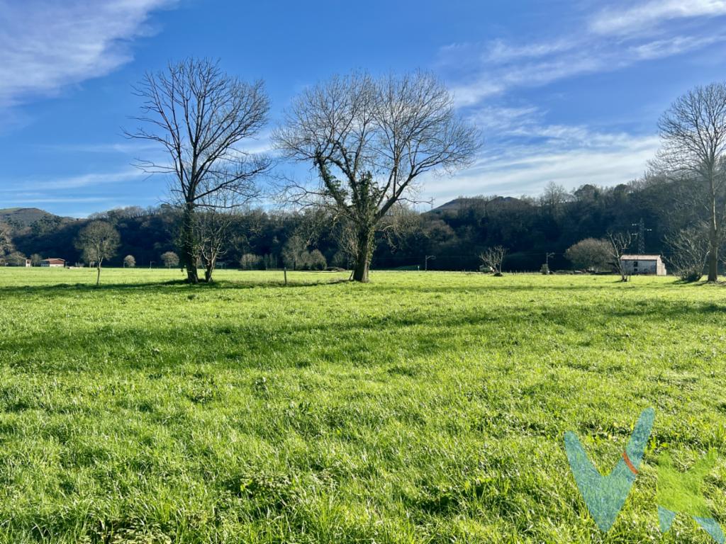 En el municipio de Riotuerto, concretamente en el barrio de Rucandio, disponemos para su venta de una finca de más de 3 hectáreas, completamente llana ideal tanto para cultivo como para explotación ganadera. Se trata de una finca con acceso rodado, con luz a pie de finca, con muchísimas posibilidades para su explotación. Solicite más información.