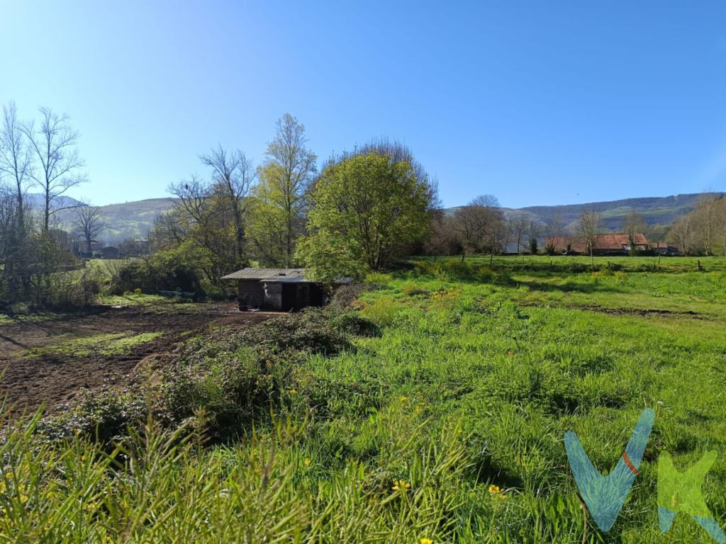  ¡¡MAGNÍFICA OPORTUNIDAD!! para adquirir una excepcional finca rústica edificable ubicada en la localidad de Abionzo. Esta finca, ubicada en un terreno en dos alturas formando dos terrazas totalmente llanas, te da la gran oportunidad de construir en una de ellas la casa de tus sueños o invertir en un proyecto residencial, previo permiso de la CROTU, en un entorno idílico en el corazón de los valles pasiegos y junto al río Pisueña.Esta finca tiene, en este momento, una construcción de bloques de uso agrario sin escriturar.La ubicación estratégica de la parcela es otro de sus grandes atractivos. Abionzo, reconocido por su ambiente apacible, se encuentra a una cómoda distancia de núcleos urbanos más grandes, facilitando el acceso a servicios y comodidades adicionales que complementen el estilo de vida deseado. Este entorno privilegiado asegura una elevada calidad de vida en un enclave que combina lo mejor del estilo de vida rural sin renunciar a las facilidades urbanas. Se encuentra a tan solo 500 m del centro del pueblo, Selaya, donde dispones de todos los servicios, y a 30 minutos de Santander y sus playas.No dejes pasar la oportunidad de visitar esta parcela para que puedas apreciar todo su potencial y belleza.  Concretar una cita para visitar la finca será el paso inicial hacia el descubrimiento de todo lo que esta propiedad tiene para ofrecer. Se promete que no decepcionará.Al compradores se le cobrará gastos de gestión.¡¡¡TE ESPERAMOS!!!Los precios mostrados no incluyen impuestos, gastos de compraventa ni financiación.