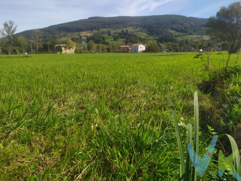 ESTUPENDA FINCA RUSTICA DE 2237 M2 ,NO EDIFICABLE,PARA DISFRUTAR DE FINES DE SEMANA O TENER TU HUERTA DONDE DESCONECTAR DEL BULLICIO DEL DIA A DIA.JUNTO AL PUEBLO DE LLOREDA DE CAYON . PRACTICAMENTE LLANA EN SU TOTALIDAD. PODRAS DISFRUTAR DE UN ENTONNO DE TRANQUILIDAD Y PARAJES VERDES A TAN SOLO 25 MIN DE SANTANDER Y 5 MIN DE TODOS LOS SERVICIOS EN LA POBLACION DE SARON DONDE CUENTA CON ACCESO DIRECTO A LA AUTOVIA A-8. A PIES DE VALLES PASIEGOS. VEN A CONOCERLA !!Los precios mostrados no incluyen impuestos, gastos de compraventa ni financiación.