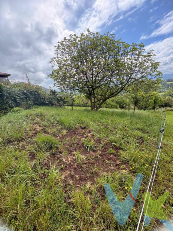 ¿Llevas tiempo buscando una parcela donde construir la casa que siempre has imaginado? Te presentamos esta fantástica finca edificable situada en Ordiales, Siero, un entorno tranquilo y rodeado de naturaleza, ideal para quienes desean disfrutar de la tranquilidad sin renunciar a las buenas comunicaciones.La parcela cuenta con una superficie de 988 m² y permite una edificabilidad de hasta 300 m², ofreciendo espacio más que suficiente para desarrollar una vivienda amplia, cómoda y adaptada a tus necesidades.Entre sus principales características destacan:? Parcela de 988 m².? Edificabilidad de hasta 300 m².? Acceso directo desde carretera.? Conexiones de agua y luz disponibles en la zona.? Excelente orientación y gran luminosidad durante todo el día.? Presencia de árboles frutales.? Entorno tranquilo y agradable.Si estás pensando en construir una vivienda a tu medida en una zona tranquila de Siero, esta parcela reúne las condiciones necesarias para hacer realidad tu proyecto.No dejes pasar esta oportunidad. Contacta con nosotros para recibir más información o concertar una visita sobre el terreno. Estaremos encantados de ayudarte a dar el primer paso hacia tu nuevo hogar. Gastos e impuestos no incluidos en el precio. A título orientativo, en segundas transmisiones, el comprador abonará el Impuesto sobre Transmisiones Patrimoniales (ITP). Gastos de notaría y registro aranceles variables según precio, número de copias y complejidad.     El comprador escoge libremente notario. El vendedor asume la plusvalía y el resto de gastos son del comprador. Si se precisa hipoteca: Tasación, condiciones y costes bancarios según entidad elegida por el comprador; así como los gastos de gestoría y cualesquiera otros inherentes a la formalización de la compraventa. De acuerdo con la ley, no se incluyen en el precio otros gastos o tributos que legalmente correspondan al comprador. Honorarios de intermediación inmobiliaria a cargo del vendedor y honorarios de mediación inmobiliaria del 2% más I.V.A. con un mínimo de 2.000 + IVA a cargo del comprador.El consumidor tiene derecho, conforme a la normativa vigente, a disponer de información y documentación adicional relativa al inmueble y condiciones de la compraventa, accesible en la sede física de la agencia. La agencia actúa exclusivamente como intermediaria en la operación. Cualquier compraventa y sus condiciones quedan sujetas en todo caso a la aceptación expresa del vendedor del inmueble y a la posterior formalización del correspondiente contrato. El presente anuncio tiene carácter meramente informativo; la información suministrada se corresponde con la disponible a la fecha de publicación, pudiendo variar en función de las circunstancias o actualizaciones legales, contractuales y fiscales.