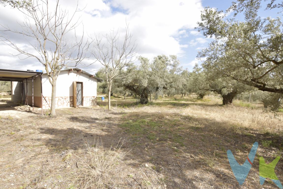 Si buscas un lugar en donde desconectar, salir del bullicio de las ciudades e incluso cultivar tu propio aceite, te proponemos una caseta con terreno en Novaliches. Situada en una pedanía de la localidad de Jérica, municipio de Castellón, encontrarás aquí el lugar perfecto para los fines de semana, rodeado de naturaleza y de un paraje envidiable para los amantes de la naturaleza. Caseta aislada con más de 6000m2 de terreno, 50 olivos centenarios de valor incalculable, para disfrutar en familia, amigos, sin problemas de espacio para las mascotas, además de estar rodeado de sendas, ríos y parajes únicos en la zona. A menos de 500m de la fuente del Clero, a 1km de Novaliches, municipio con algunos servicios y a 60minutos de la ciudad de valencia y a 30 del Puerto de Sagunto. La propiedad NO cuenta ni con luz ni agua. ¿Quieres más información? La zona cuenta con propiedades cercanas y de similar tipología, siendo un refugio de los amantes de la naturaleza. Llámanos y encantados hablamos de tu proyecto de vida.¿Te gustaría enterarte en primicia de nuestros inmuebles en alquiler y venta? En VIVEKU.ES los publicamos con unos días de antelación.Contamos con 30 años de experiencia acreditada y nuestro objetivo es garantizarle un servicio de compra humano, ético, de calidad, fácil y seguro. Nuestro equipo lo integran agentes con la titulación AIR (Agente Inmobiliario Registrado) y Agentes Certificadores de la categoría Premium en certificación de inmuebles y debidamente registrados en el Registro de Agentes de Intermediación de la CV (RAICV 0743). Consulte en nuestras reseñas de Google lo que opinan los clientes que ya han trabajado con nosotros.El precio del inmueble no incluye los honorarios de la agencia que ascienden al 3% del precio final del inmueble más el 21% de IVA, ni los gastos de notaría y registro de la propiedad (que están sujetos a aranceles y varían dependiendo del precio de escrituración), ni los impuestos (que en la Comunidad Valenciana varían dependiendo del precio del inmueble y de las características personales del comprador).