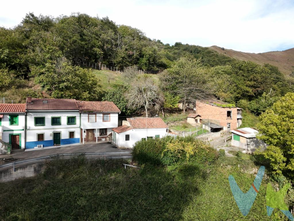 Se vende casa para reformar zona Olloniego Oviedo. Oportunidad única para adquirir casa en el encantador pueblo de Olloniego. Con un total de 136 metros cuadrados construidos y 122 metros útiles, esta vivienda proporciona el espacio perfecto para disfrutar de la tranquilidad del entorno rural sin renunciar a la comodidad.La casa consta de dos plantas:La planta baja tiene una superficie construida de sesenta y ocho metros cuadrados, de los cuales treinta y tres metros cuadrados corresponden a la vivienda y los restantes treinta y cinco metros cuadrados a almacén.La planta primera tiene una superficie construida de unos treinta y seis metros cuadrados.Tiene luz y agua.A tan solo 7 minutos en coche del centro de Olloniego. A 19 minutos de Oviedo, Langreo y Mieres. A 35 minutos de Gijón.Olloniego, con su encanto y belleza natural, es la ubicación ideal para quienes buscan un estilo de vida tranquilo y relajado. Los paisajes circundantes invitan a largas caminatas y actividades al aire libre, todo mientras se disfruta de la paz y la serenidad que caracteriza a este pueblo pintoresco. Además, la proximidad a servicios básicos y la facilidad de acceso a las principales carreteras aseguran que las necesidades cotidianas siempre estén a mano.Tomar la decisión de visitar esta casa es el primer paso hacia la posibilidad de estableciendo un hogar en plena naturaleza y rodeado de belleza natural. Le invitamos cordialmente a visitar esta singular propiedad, para que pueda experimentar de primera mano todo lo que tiene para ofrecer. Sin lugar a duda, ésta es no solo una casa, sino un hogar lleno de potencial esperando ser descubierto.Opción finca rustica independiente a la casa con una superficie de cuatro mil ochocientos sesenta y cuatro metros cuadrados. 