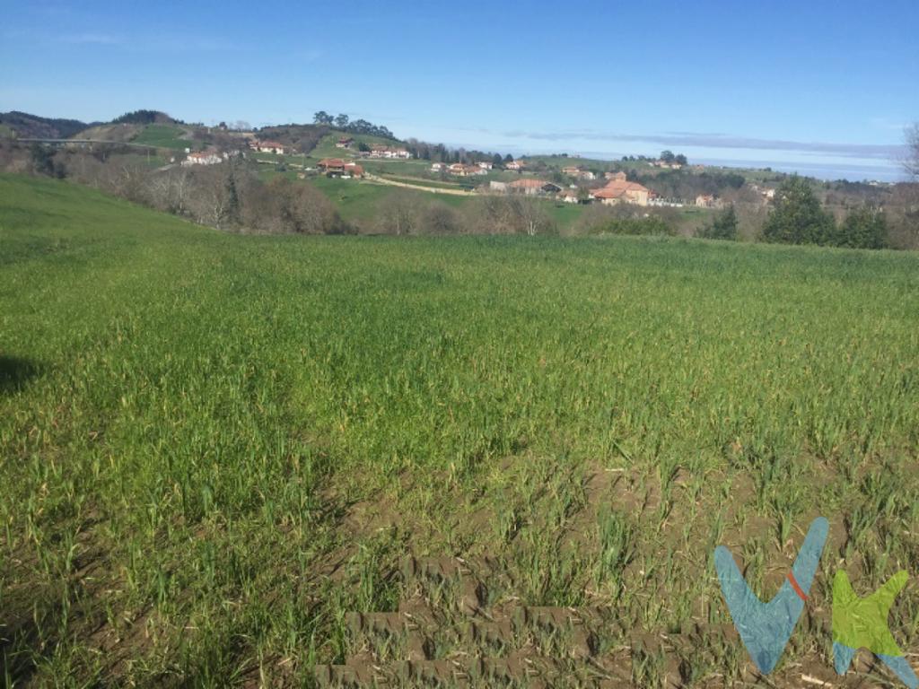 Si estás en el proceso de buscar un buen emplazamiento para hacer la casa que llevas tiempo proyectando, te proponemos una bonita finca urbana en Lamadrid.Es prácticamente llana, y con todos los servicios cercanos. Buen acceso. Agradables vistas a la montaña.Lamadrid se encuentra a unos 7 km. de San Vicente de la Barquera, donde dispones de todo tipo de servicios, y donde podrás disfrutar de sus famosas playas.¡Solicita una visita. No te defraudará! 