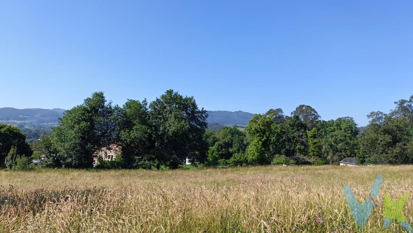 Se ofrece una excelente oportunidad de inversión en una finca edificable en el encantador entorno rural de Vioño. Esta vasta parcela, especialmente atractiva por su amplitud, ofrece múltiples posibilidades para quienes buscan construir una vivienda o un proyecto personal en un entorno apacible y bien comunicado.Ubicada estratégicamente, la finca dispone de todos los servicios necesarios que garantizan comodidad y facilidades para cualquier proyecto. Esta parcela edificable permite una construcción de hasta 400 metros cuadrados, ofreciendo un lienzo perfecto para diseñar y construir una vivienda según las preferencias y necesidades específicas del comprador. Con espacio suficiente para incorporar extensos jardines, espacios de esparcimiento o incluso instalaciones adicionales, el terreno ofrece un sinfín de posibilidades creativas.Características urbanísticas:- Parcela mínima: 1.500 m²- Ocupación máxima: 10%- Altura máxima permitida: 7 metros (hasta 2 plantas)Retranqueos:- 5 m a colindantes para otros usos- 5 m a colindantes para viviendas- 5 m desde los viales públicosAdemás, se deberá plantar 1 árbol por cada 50 m² de superficie de parcela, lo que garantiza un entorno natural y agradable.Vioño es conocido por su atmósfera tranquila y sus paisajes naturales, brindando un entorno sereno y un estilo de vida de calidad. Vivir aquí significa disfrutar de la naturaleza sin renunciar a las comodidades y servicios esenciales, un detalle que suma valor a esta oferta excepcional.La versatilidad de esta finca convierte a esta propiedad en una inversión atractiva no solo para quienes aspiran a construir su hogar ideal, sino también para desarrolladores interesados en proyectos de mayor escala. El potencial de la zona, combinado con las características únicas de la parcela, asegura que cualquier inversión en este terreno será altamente gratificante.En resumen, esta finca en Vioño destaca como una oportunidad inmejorable en el mercado actual. Sus características y ubicación estratégica la convierten en una opción sin igual, apta tanto para vivienda personal como para proyectos de inversión. No pierda la oportunidad de visitar esta parcela y visualice su futuro en un lugar donde la tranquilidad y la conveniencia convergen armoniosamente.Notaria, registro e impuestos no incluidos en el precio