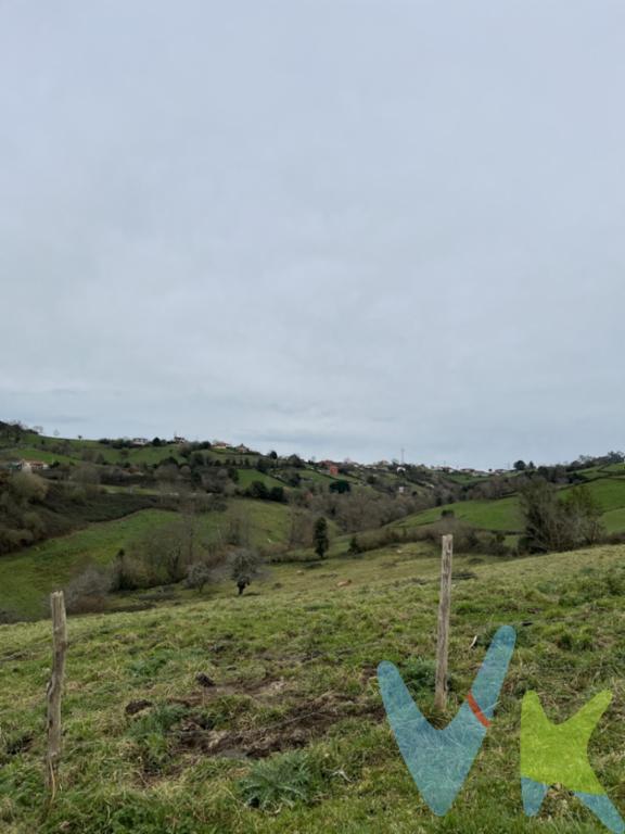  En el corazón de La Felguera de Noreña , se encuentra esta magnífica finca que ofrece una oportunidad única para construir la casa de tus sueños. Con una extensa parcela cerrada y con conexión a red eléctrica, esta propiedad es ideal para aquellos que buscan un lugar tranquilo y privado para establecerse.Con una superficie edificable de 300 metros cuadrados, esta parcela ofrece un sinfín de posibilidades para crear la vivienda que siempre has deseado. Desde un diseño moderno y minimalista hasta una casa de estilo tradicional asturiano, las opciones son infinitas.Además, la ubicación privilegiada de esta finca la convierte en un lugar excepcional para disfrutar de la naturaleza y la tranquilidad que ofrece La Felguera de Noreña . Rodeada de hermosos paisajes y con fácil acceso a todos los servicios necesarios, esta propiedad se presenta como una inversión segura y rentable a largo plazo.No pierdas la oportunidad de visitar esta finca y descubrir por ti mismo todas las posibilidades que ofrece. Ya sea que estés buscando un lugar para establecer tu hogar permanente o para construir una casa de vacaciones, esta propiedad tiene todo lo que necesitas para hacer realidad tus sueños.No dejes pasar esta oportunidad única de adquirir una finca edificable en La Felguera. ¡Llámanos hoy mismo para concertar una visita y descubrir todas las ventajas que esta propiedad tiene para ofrecer! ¡Te esperamos con los brazos abiertos para mostrarte tu futuro hogar!En el precio no están incluidos  los gastos de notaria ,  registro , transmisiones patrimoniales 