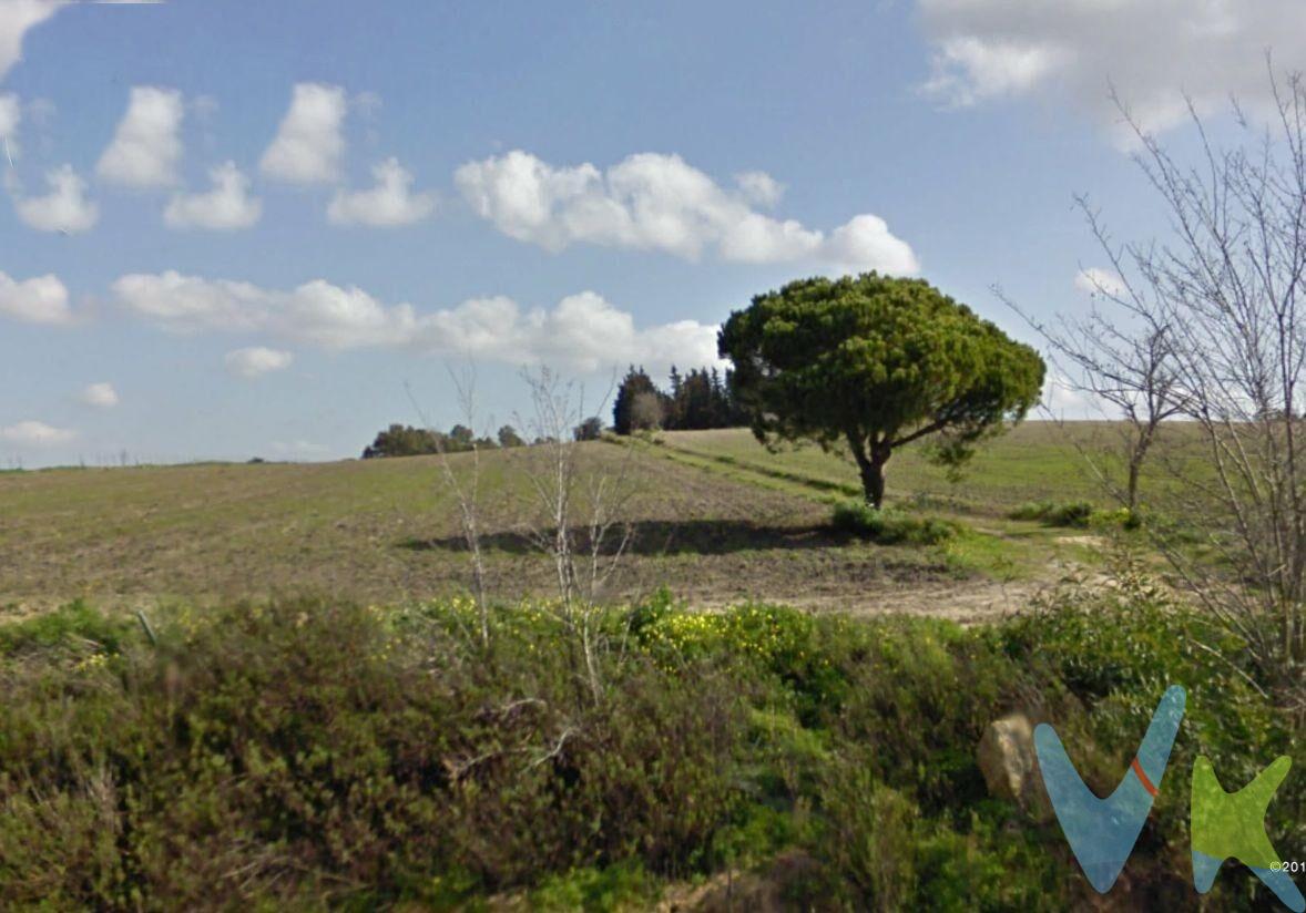 . ¿Buscas un lugar perfecto para invertir o desarrollar tu proyecto soñado? Presentamos un increíble terreno rústico en Chiclana de la Frontera, estratégicamente ubicado cerca de la autovía, ofreciendo fácil acceso y unas vistas inigualables.  Características del Terreno:. - Superficie Total: 25.000 metros cuadrados. - Parcelas: 10 parcelas de 2.500 metros cuadrados cada una. - Estado Legal: Totalmente segregadas e independientes jurídicamente. Ventajas:. - Ubicación Ideal: Cerca de la autovía, lo que garantiza una excelente conectividad y accesibilidad. - Entorno Natural: Disfruta de la tranquilidad y belleza de un entorno rural con vistas panorámicas. - Flexibilidad: Perfecto para inversores, agricultores, o aquellos que buscan desarrollar un proyecto personal o comercial. -Independencia: Cada parcela es independiente, permitiendo una amplia gama de posibilidades para su uso y desarrollo. No pierdas la oportunidad de adquirir un terreno con tanto potencial en una de las zonas más demandadas de Chiclana de la Frontera. ¡Las posibilidades son infinitas!. Contacta con nosotros hoy mismo para más información y para programar una visita!. Comercializamos este inmueble en exclusiva, lo que le garantiza el acceso a toda la información y un servicio de calidad único y personalizado. En cumplimiento del Decreto de la Junta de Andalucía 218/2005 del 11 de Octubre, se informa al cliente que los gastos notariales, registrales, ITP y otros gastos inherentes a la compraventa no están incluidos en el precio. Igualmente disponemos del Documento Informativo Abreviado de la Propiedad (D.I.A) , y de un Seguro de Caución para garantizar las cantidades entregadas a nuestra Agencia en concepto de Reserva y/o Arras. 