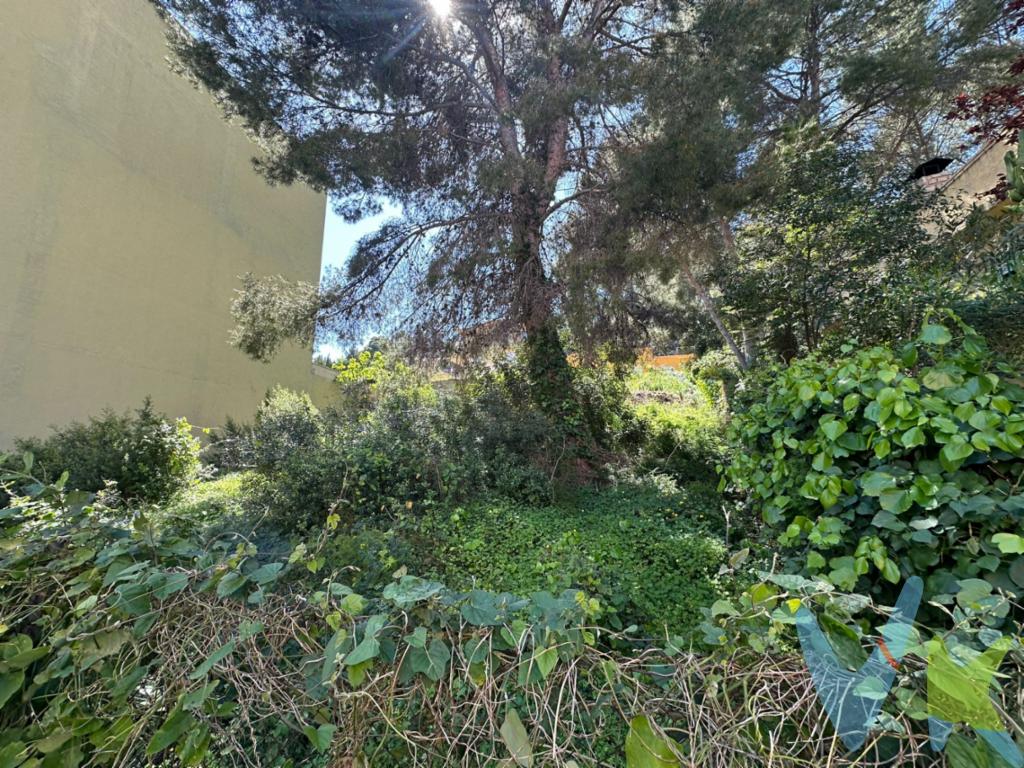 ¡Excelente oportunidad de inversión en el corazón de Gilet!Se vende magnífico solar urbano residencial de 227 m² de superficie parcelaria ubicado en la calle Estivella, 11. Una ubicación privilegiada que combina la tranquilidad de vivir a los pies de la Sierra Calderona con la comodidad de tener todos los servicios a un paso y excelentes conexiones con Sagunto, Valencia y las playas.Potencial urbanístico destacado:El terreno cuenta con una morfología idónea y una edificabilidad estimada de hasta 800 m² de techo, lo que lo convierte en un lienzo en blanco con múltiples posibilidades de desarrollo:Promoción residencial: Ideal para la construcción de un edificio plurifamiliar (Planta Baja + alturas) con capacidad para entre 4 y 6 viviendas con sus respectivos garajes. ¡Zona de alta demanda de alquiler y compra!Proyecto unifamiliar múltiple: Espacio idóneo para desarrollar 2 amplias casas adosadas/pareadas con patio privado.Casa de tus sueños: Perfecto para un particular que desee diseñar una gran vivienda unifamiliar a medida, con jardín, piscina privada, garaje subterráneo y terrazas con vistas.Datos registrales y de interés:Superficie de parcela: 227 m².Referencia catastral disponible y documentación en regla (listo para escriturar).Fachada urbana consolidada con acceso a todos los suministros a pie de parcela (agua, luz, alcantarillado).No dejes pasar la oportunidad de adquirir uno de los pocos solares disponibles en la zona con este potencial de metros de techo.Contacta con nosotros para más información o concertar una visita. (Abstenerse intermediarios sin clientes cualificados).Se muestra a título informativo y no contractual. El precio no incluye lo siguiente: Honorarios de la agencia inmobiliaria, impuestos (IVA, ITP) y otros gastos de la Compraventa (notaria, gestoría y registro