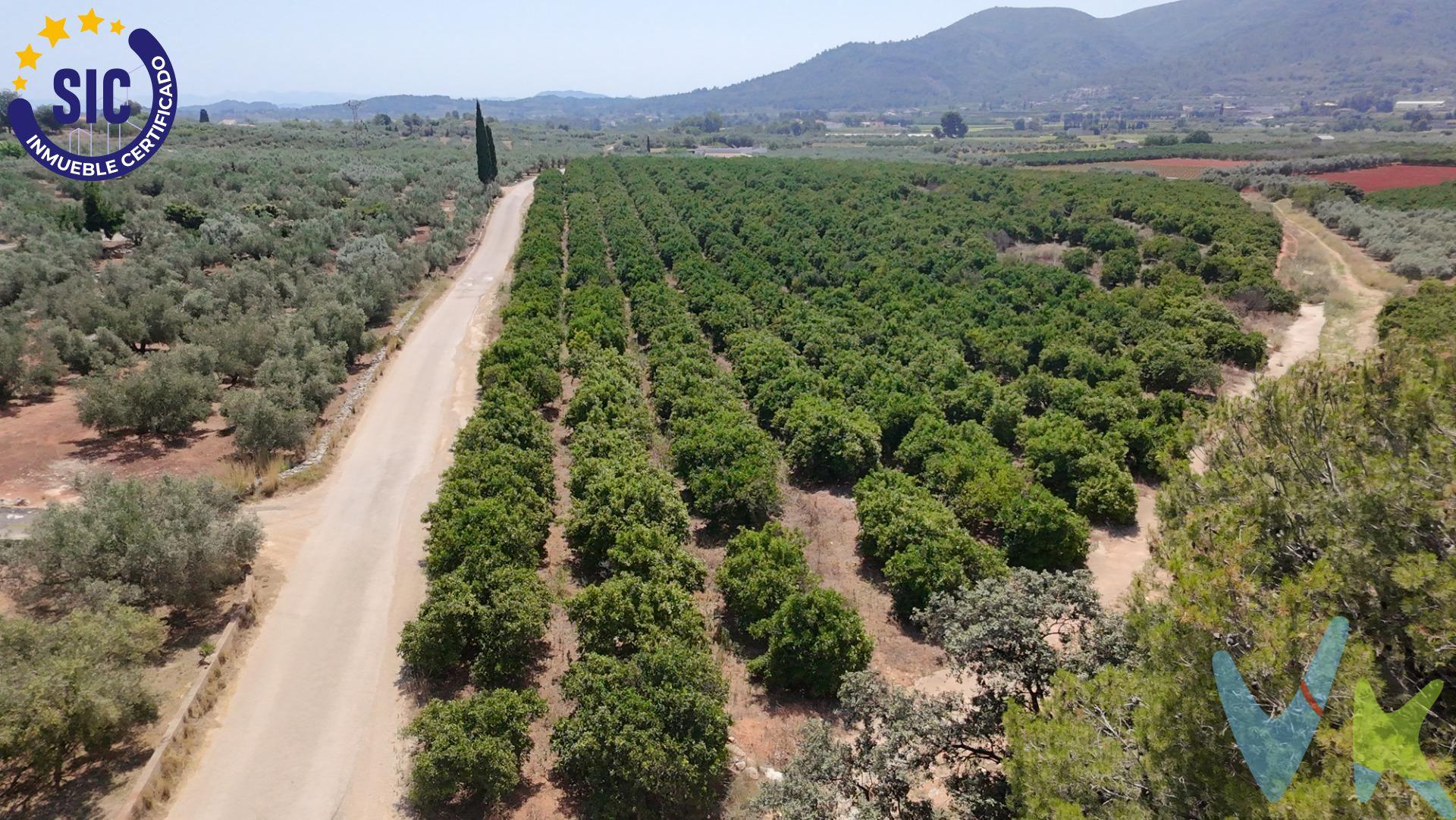 Terreno rústico en producción con vivienda auxiliar – Enguera (Valencia). 📍 Polígono 6, paraje Charral | 35.597 m² | Producción activa | Agua en propiedad. ¿Buscas una finca en plena producción y con excelente potencial?. Te presentamos esta parcela rústica de 35.597 m² en el término de Enguera, con cultivo de naranjos variedad Navel Clavel Late y toda la infraestructura preparada para seguir generando rendimiento desde el primer día. Características principales:. Superficie: 35.597 m². Producción agrícola activa (100 kg por árbol) 2400 naranjos. 60 acciones de agua. Riego por goteo con instalación en funcionamiento. Caseta con placas solares para mantenimiento. Acceso asfaltado hasta la finca. Electricidad próxima para conexión. Rentabilidad potencial por arrendamiento. Ventajas destacadas:. Clima ideal: buena altitud, mínimo riesgo de heladas, orientación soleada. Producción inmediata, sin necesidad de inversión inicial. Posibilidad de construcción de vivienda rústica (según normativa local). Agua garantizada. 🌅 Rodeado de naturaleza, bien comunicado y con posibilidades reales tanto para uso propio como para inversión agrícola o recreativa. 📩 Solicita ya más información, Una oportunidad como esta no se riega todos los días 🍊. La descripción del presente inmueble e imágenes tienen mero carácter informativo y en ningún caso carácter contractual, pudiendo ser modificados por la inmobiliaria comercializadora sin que ello implique responsabilidad alguna frente a terceros. En el precio de venta a público, esta propiedad NO incluye los gastos de adquisición (Notario, registro, gestión, honorarios, etc…). 