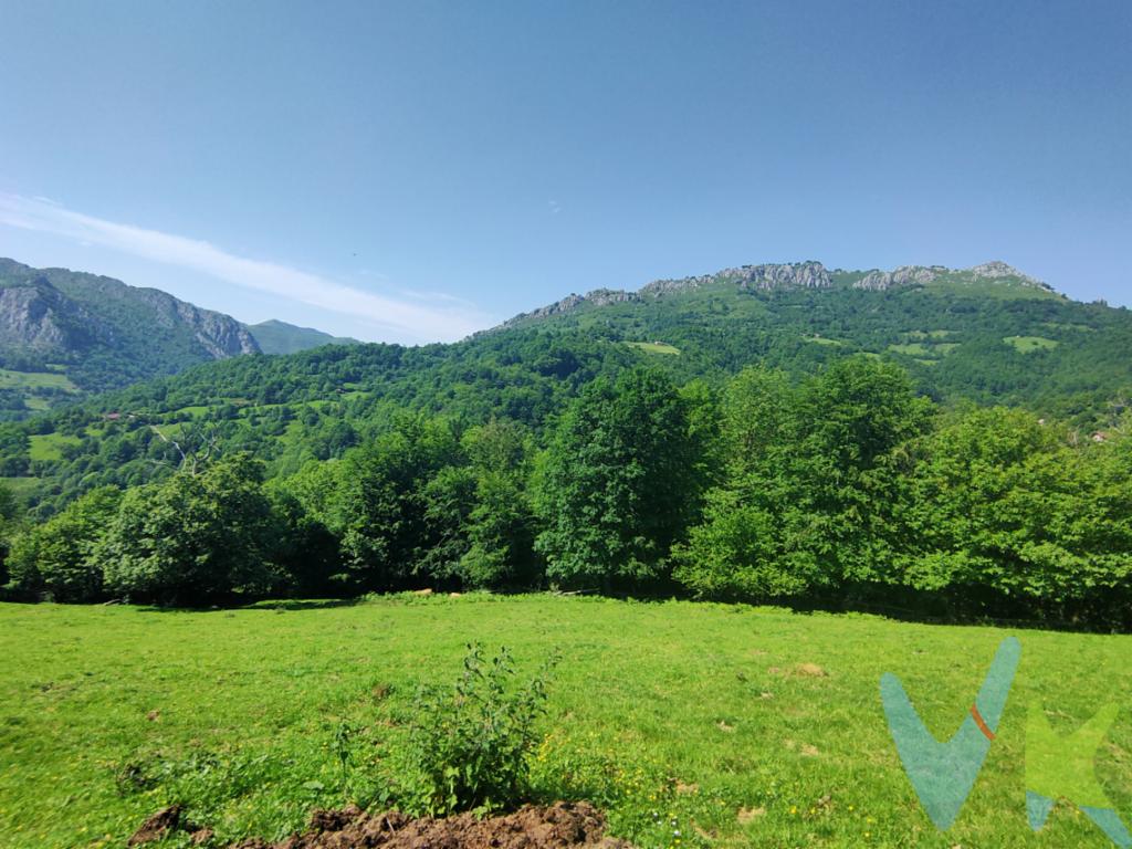 No todos los terrenos ofrecen algo más que metros cuadrados. Algunos ofrecen tranquilidad, naturaleza, espacio y la oportunidad de crear un hogar en un entorno realmente privilegiado.

En Brañafría, dentro del concejo de Caso, se encuentra esta finca de 4.544 m², una propiedad que destaca por su amplitud y por las posibilidades que ofrece para desarrollar un proyecto residencial en plena naturaleza.

La parcela cuenta con aproximadamente 700 m² edificables, una superficie más que suficiente para construir una vivienda cómoda, con jardín, espacios exteriores y todo aquello que muchas veces resulta imposible encontrar en entornos urbanos.

Su ubicación permite disfrutar de la tranquilidad del medio rural asturiano, rodeado de paisajes espectaculares y naturaleza en estado puro, sin renunciar a la cercanía de los servicios esenciales de la zona.

Es una oportunidad ideal para quienes sueñan con construir una vivienda a medida, una segunda residencia para desconectar del ritmo diario o simplemente para quienes buscan invertir en suelo en uno de los entornos naturales más atractivos de Asturias.

Porque encontrar una buena casa es importante. Pero tener la posibilidad de diseñarla exactamente como la imaginas, desde el primer día, es algo todavía mejor.

La superficie edificable indicada es aproximada y deberá ser comprobada por los interesados mediante las oportunas consultas urbanísticas y técnicas.