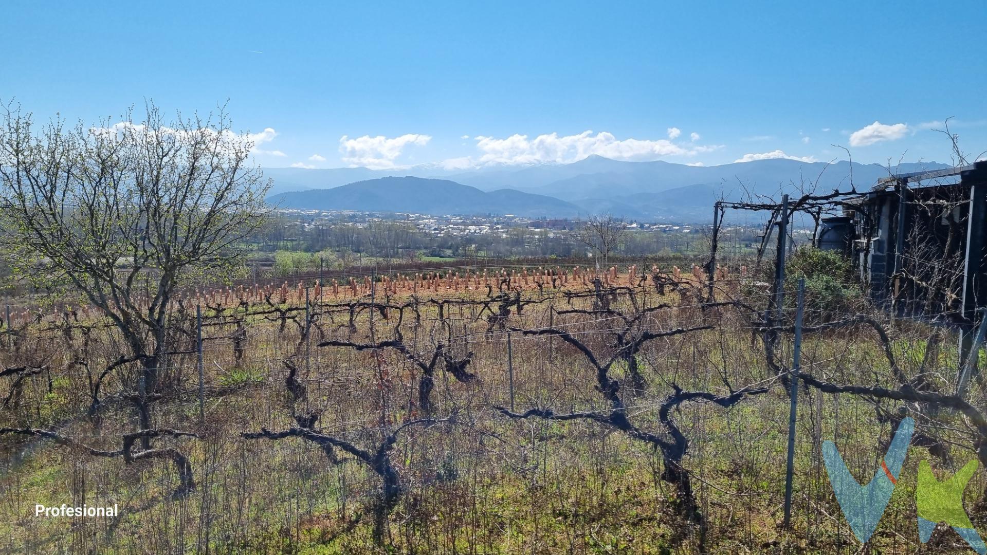 . Solo para ti: VIÑA EN ESPALDERA CON CASETA Y TENDEJON. Tenemos  la finca de recreo que estabas buscando. Disfruta de una orientación privilegiada,  al naciente y mediodía y con acceso por pista. Todo ello  hacen de esta finca un lugar excepcional para pasar tus tardes de verano aprovechando  el buen tiempo y  la tranquilidad que ansias. No pierdas la oportunidad de verla y darte cuenta que es todo lo que necesitas. Haznos tu mejor oferta. Por mandato expreso del propietario, comercializamos este inmueble en exclusiva, lo que garantiza el acceso a toda la información, a un servicio de calidad, en un trato fácil, sencillo y sin interferencias de terceros. Por este motivo, se ruega no molestar al propietario, a los ocupantes de la propiedad o a los vecinos. Muchas gracias por su comprensión.