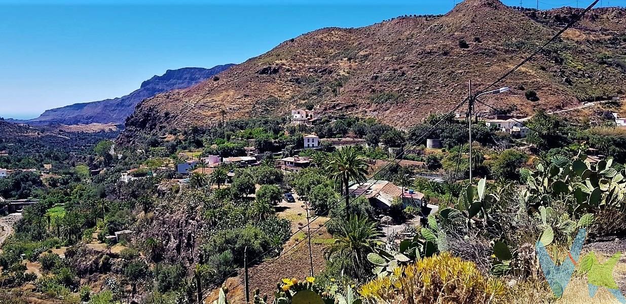 . ¡Descubre este encantador terreno situado en la majestuosa montaña de San Bartolomé de Tirajana! Con una extensión de olivos y un invernadero anexo, este terreno ofrece un escenario idílico para aquellos que buscan vivir en armonía con la naturaleza. Además, cuenta con un cuarto apero equipado con luz y agua, proporcionando todas las comodidades necesarias para aprovechar al máximo esta hermosa propiedad.